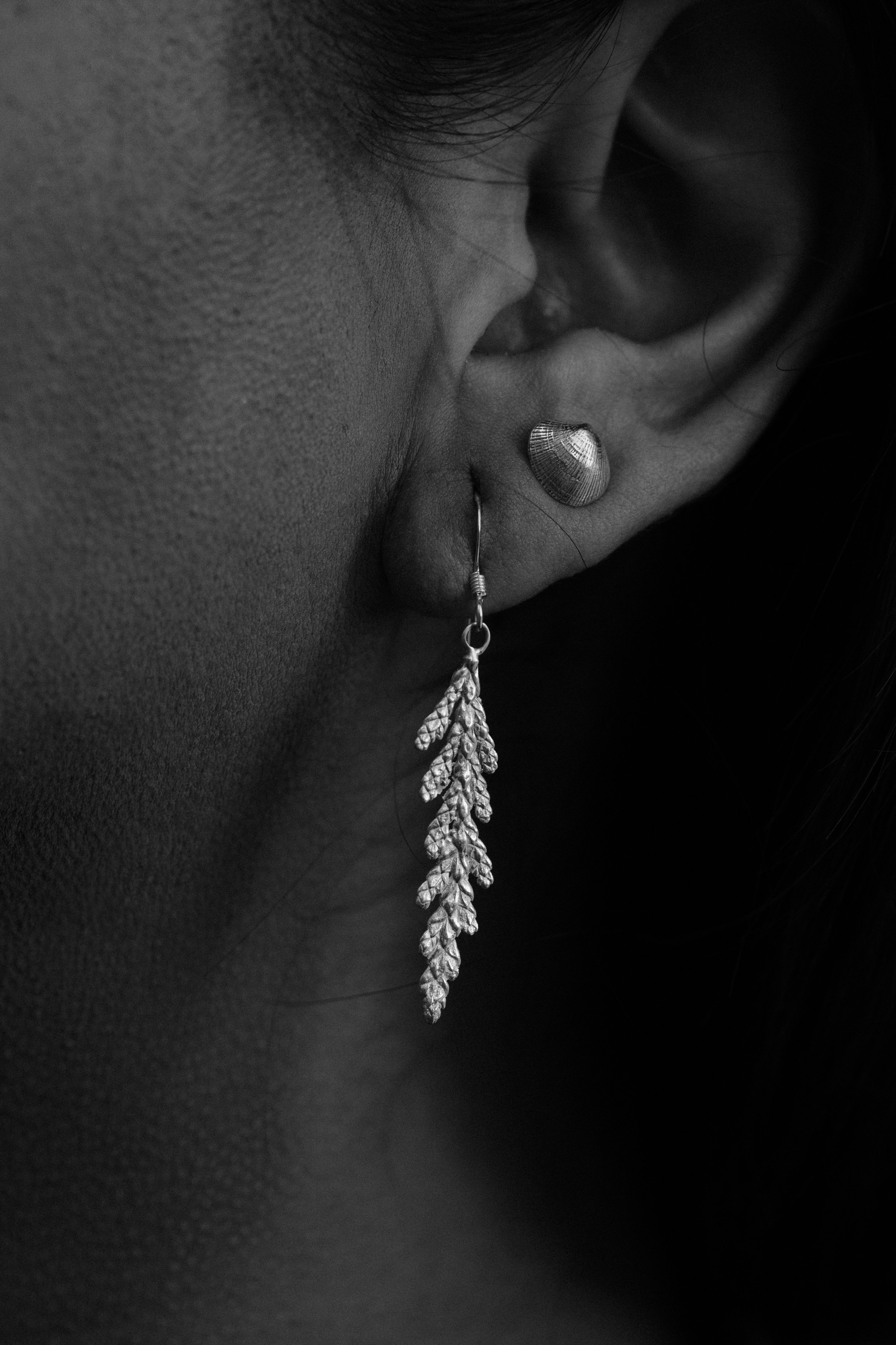 Cedar Bough | 100% Recycled Sterling Silver Earrings