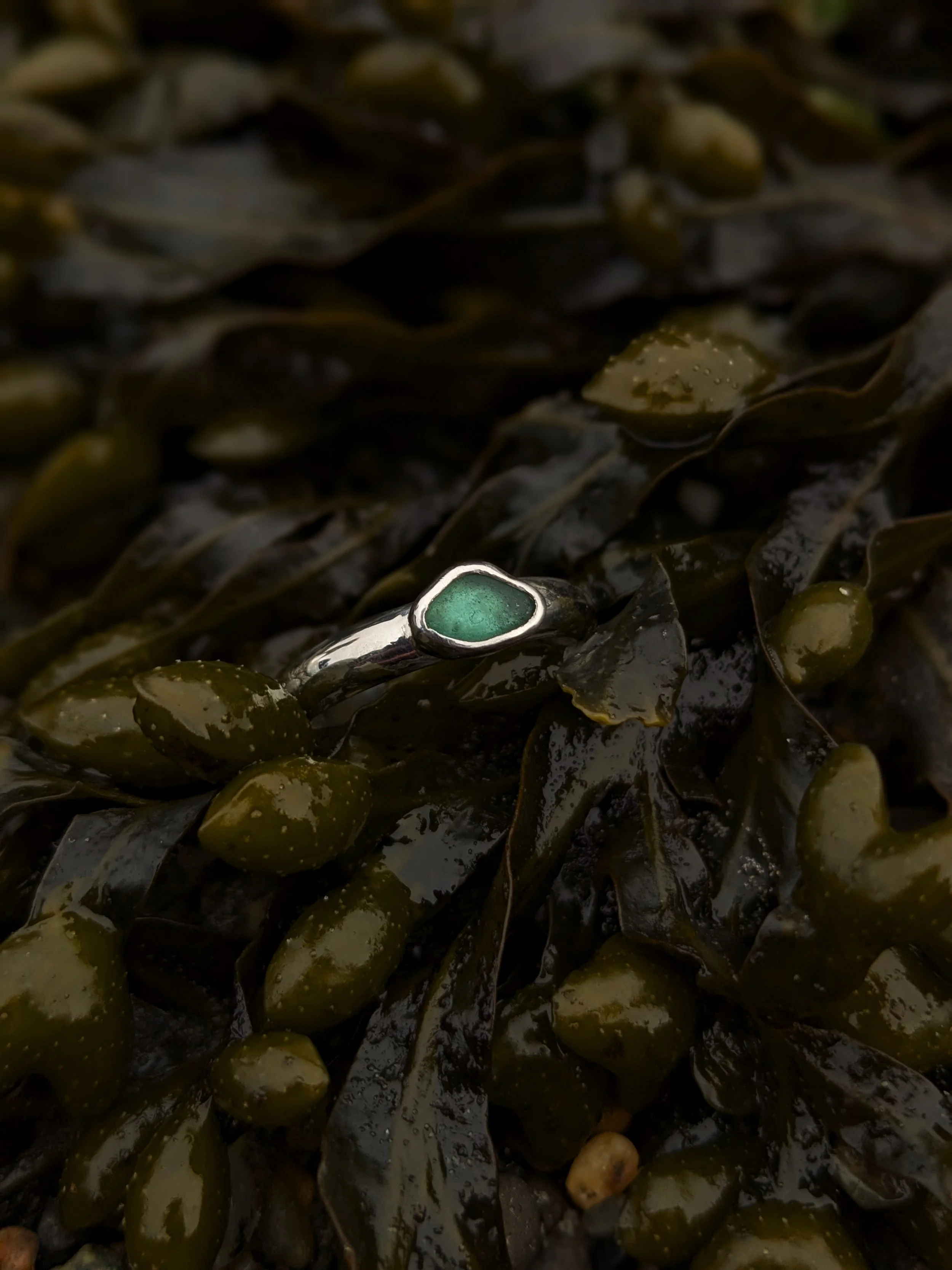 pxl_20260419_185325668.portrait copy.jpg