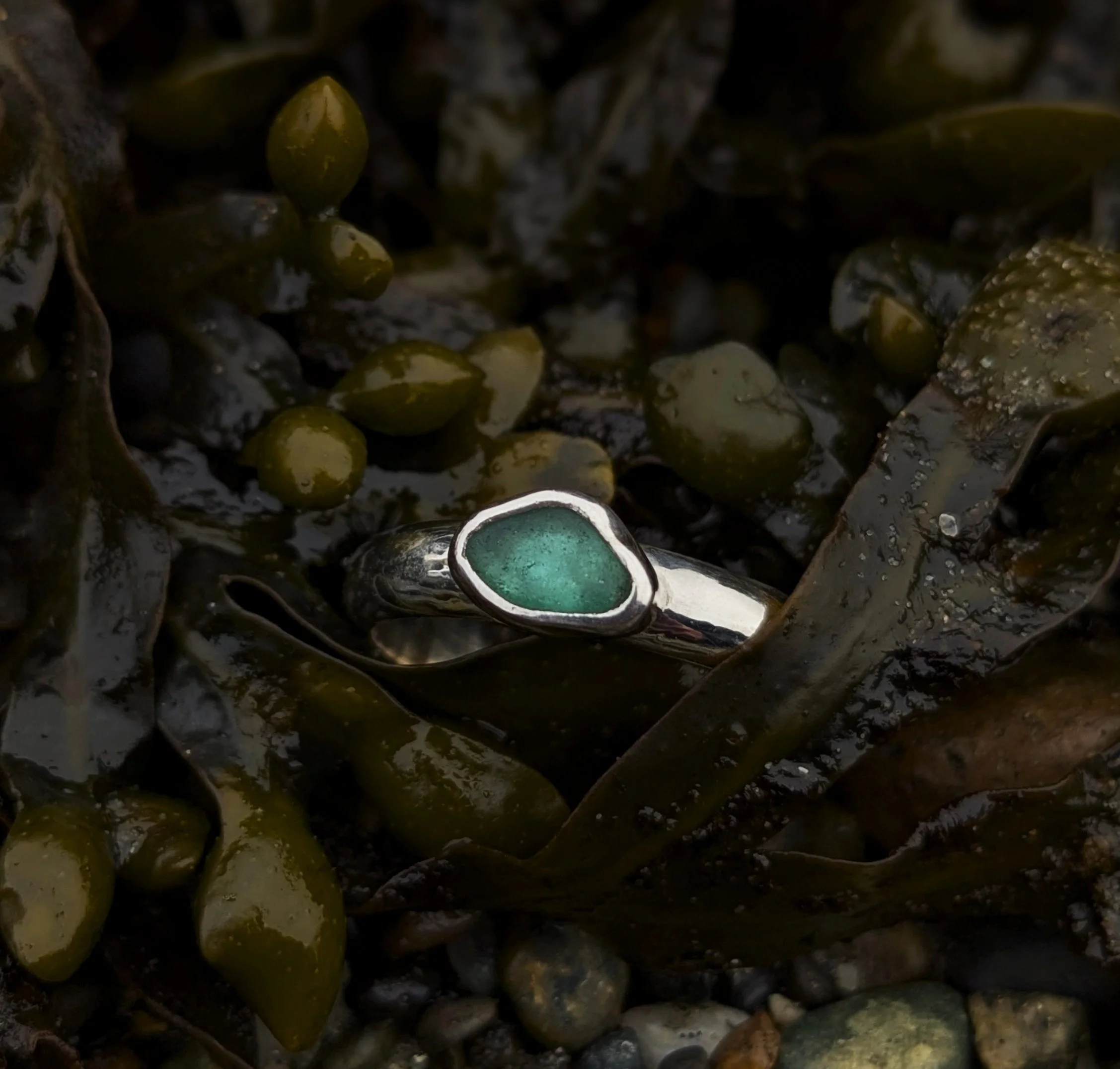 pxl_20260419_185310434.portrait copy.jpg