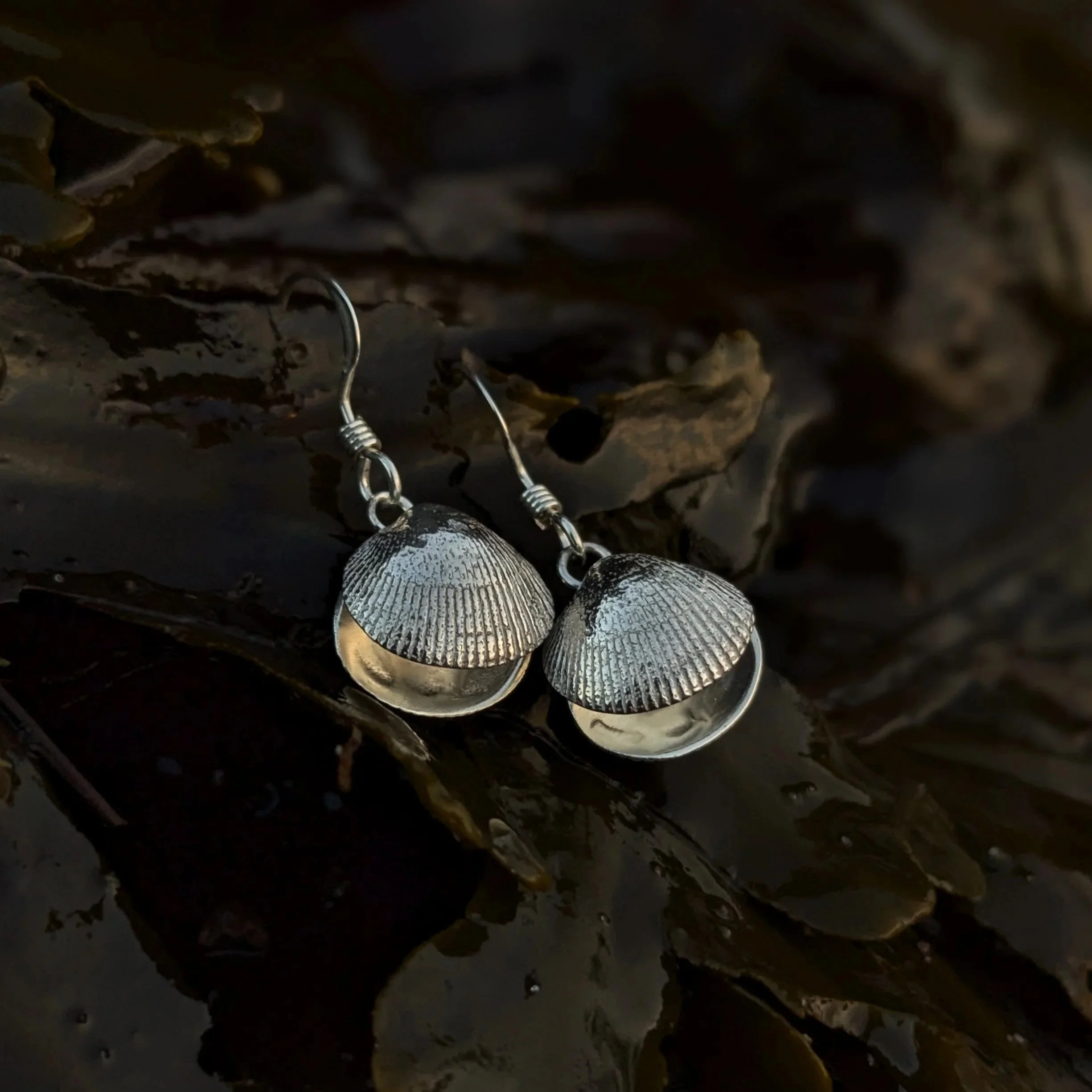 Clam Shell Earrings | 100% Recycled Sterling Silver