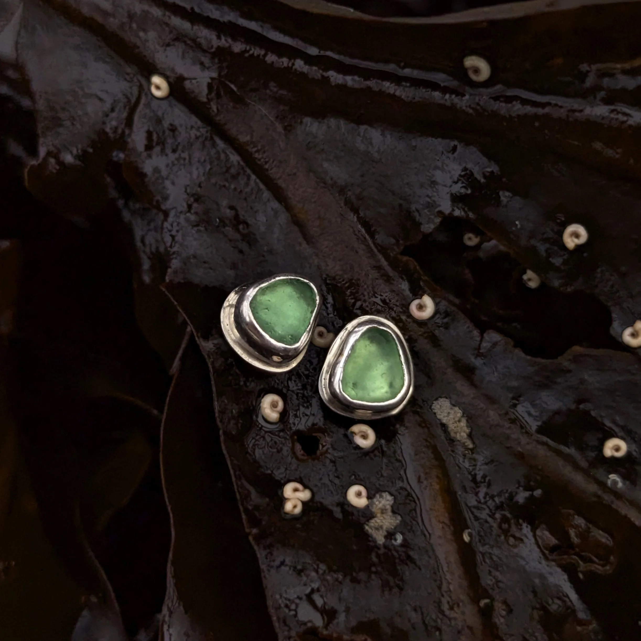 PXL_20260121_194528247.PORTRAIT copy.jpg