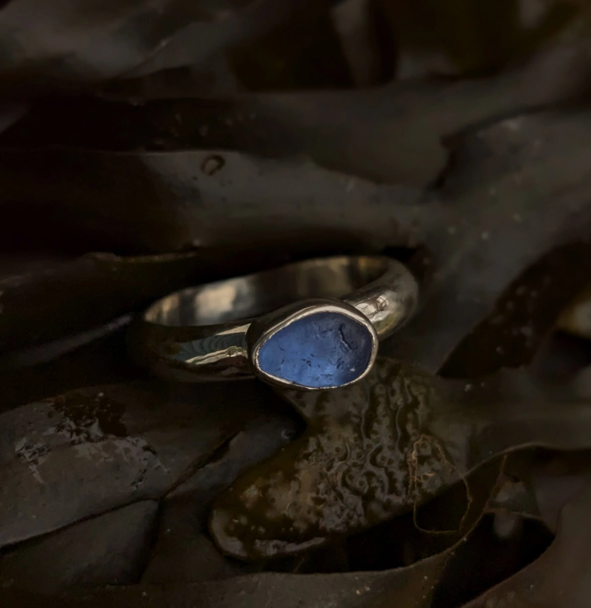 PXL_20260420_014938895.PORTRAIT copy.jpg