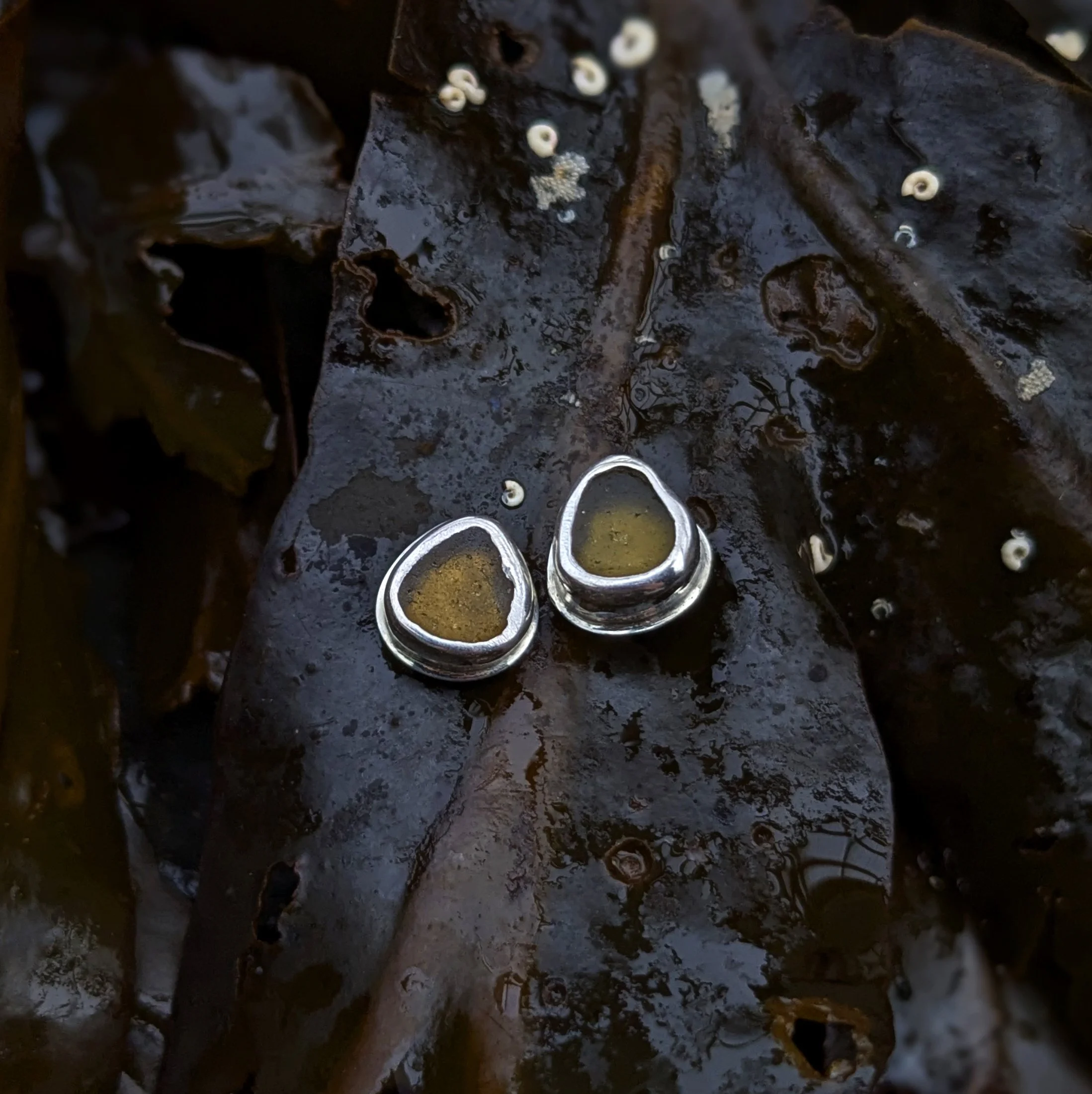 PXL_20260121_194645270.PORTRAIT copy.jpg