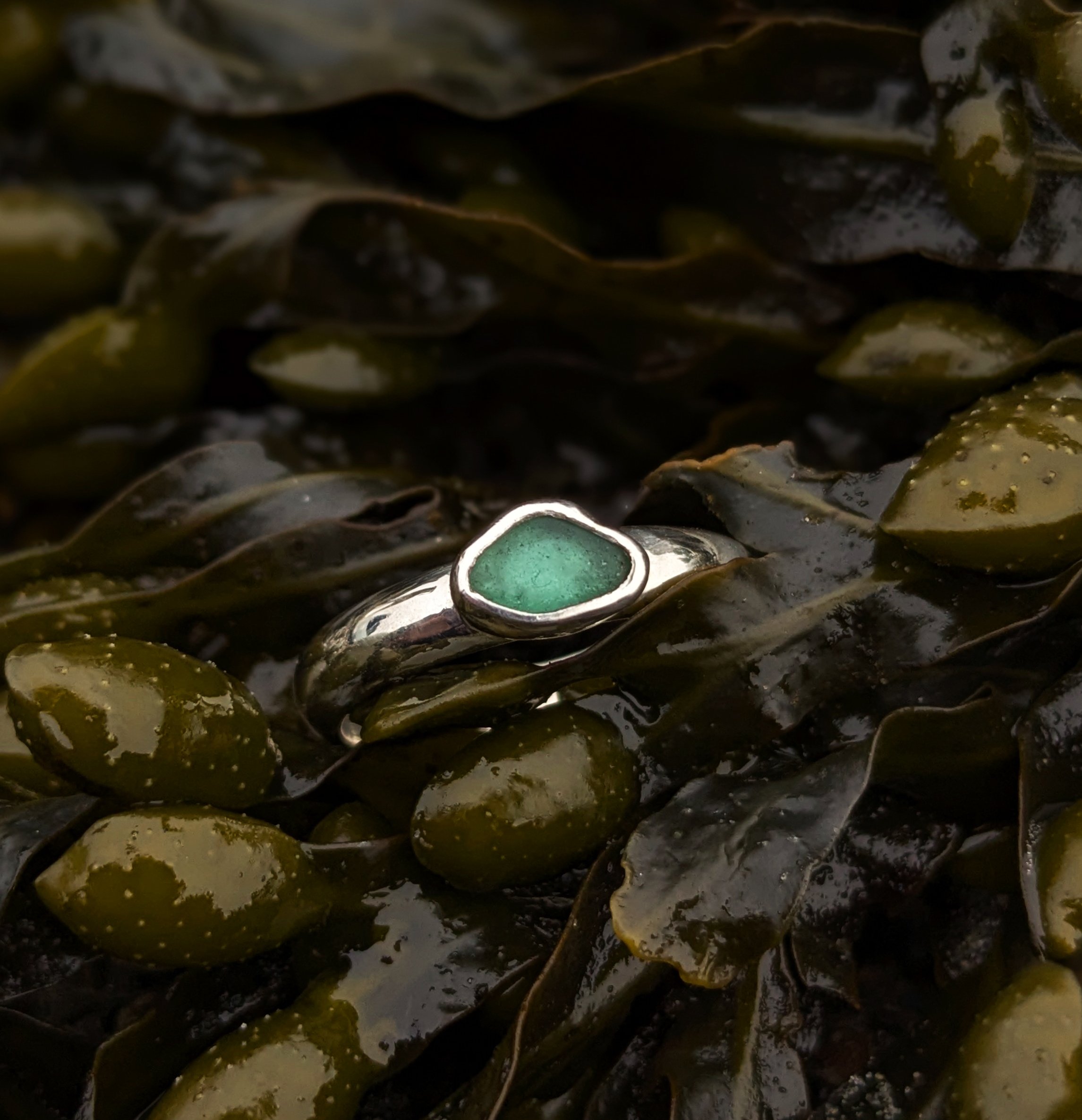 pxl_20260419_185259774.portrait copy.jpg