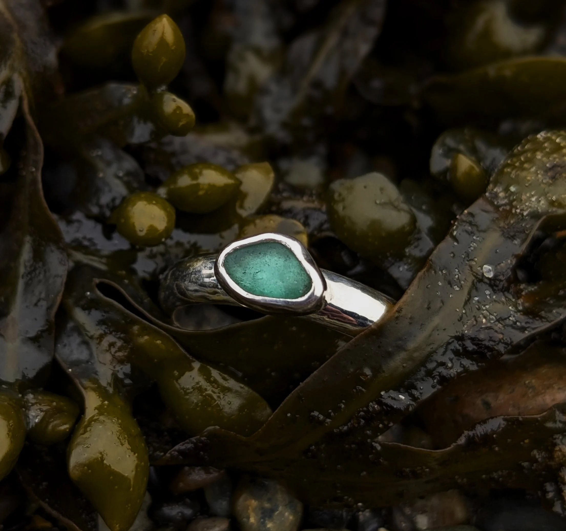 pxl_20260419_185305838.portrait copy.jpg