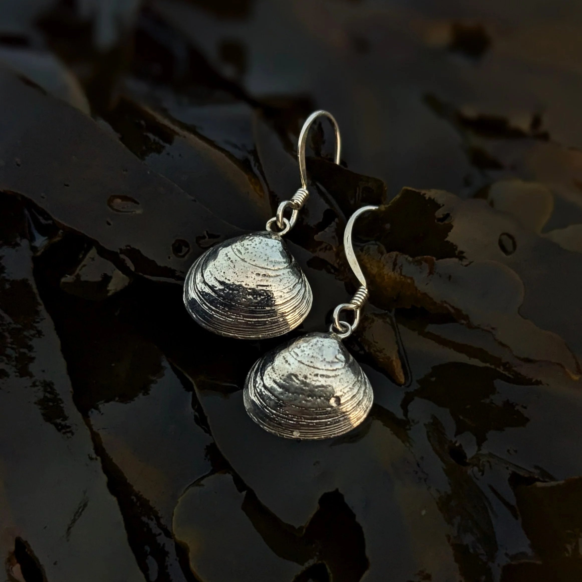 Butter Clam Earrings | 100% Recycled Sterling Silver