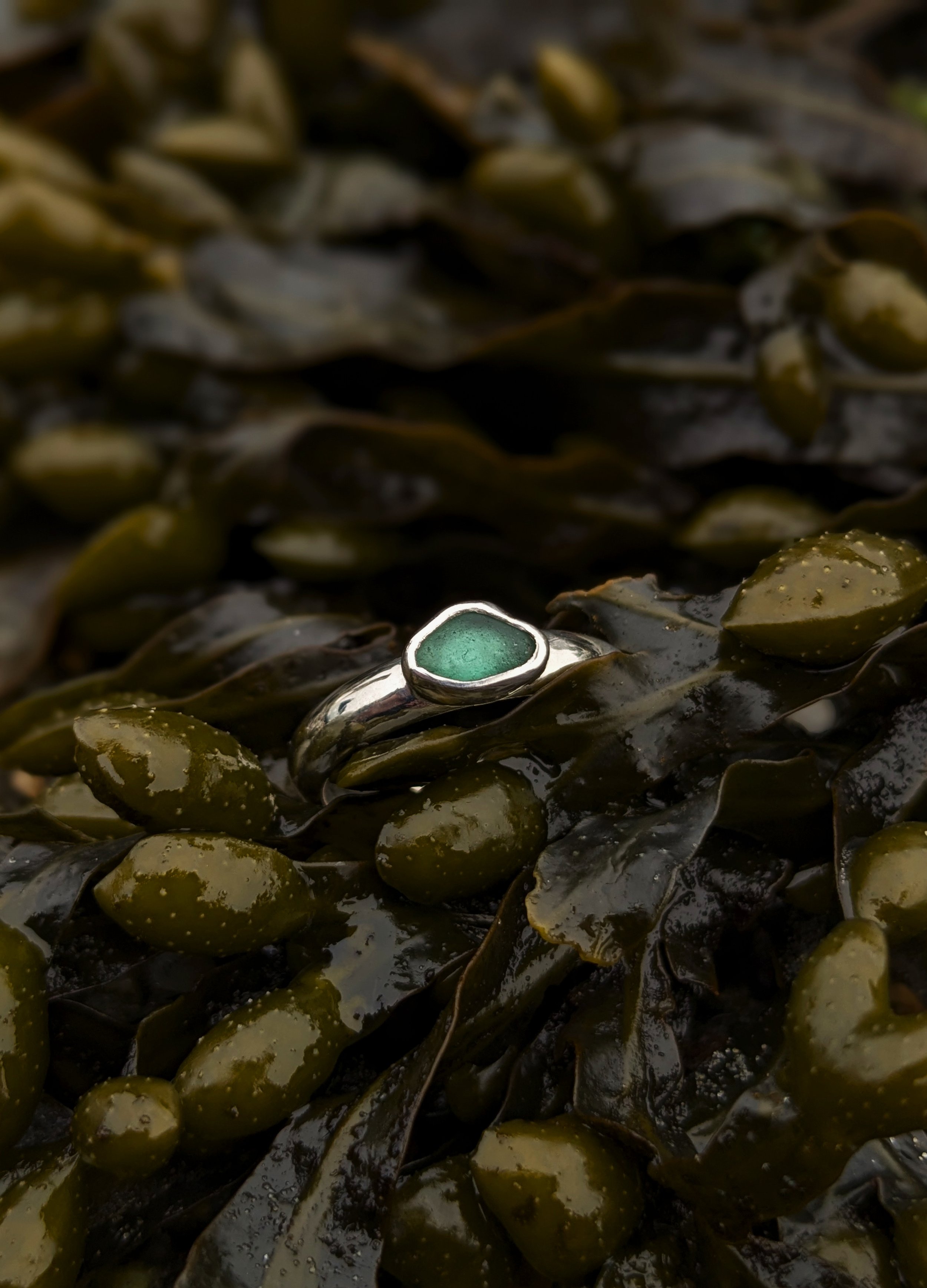 pxl_20260419_185258193.portrait copy.jpg