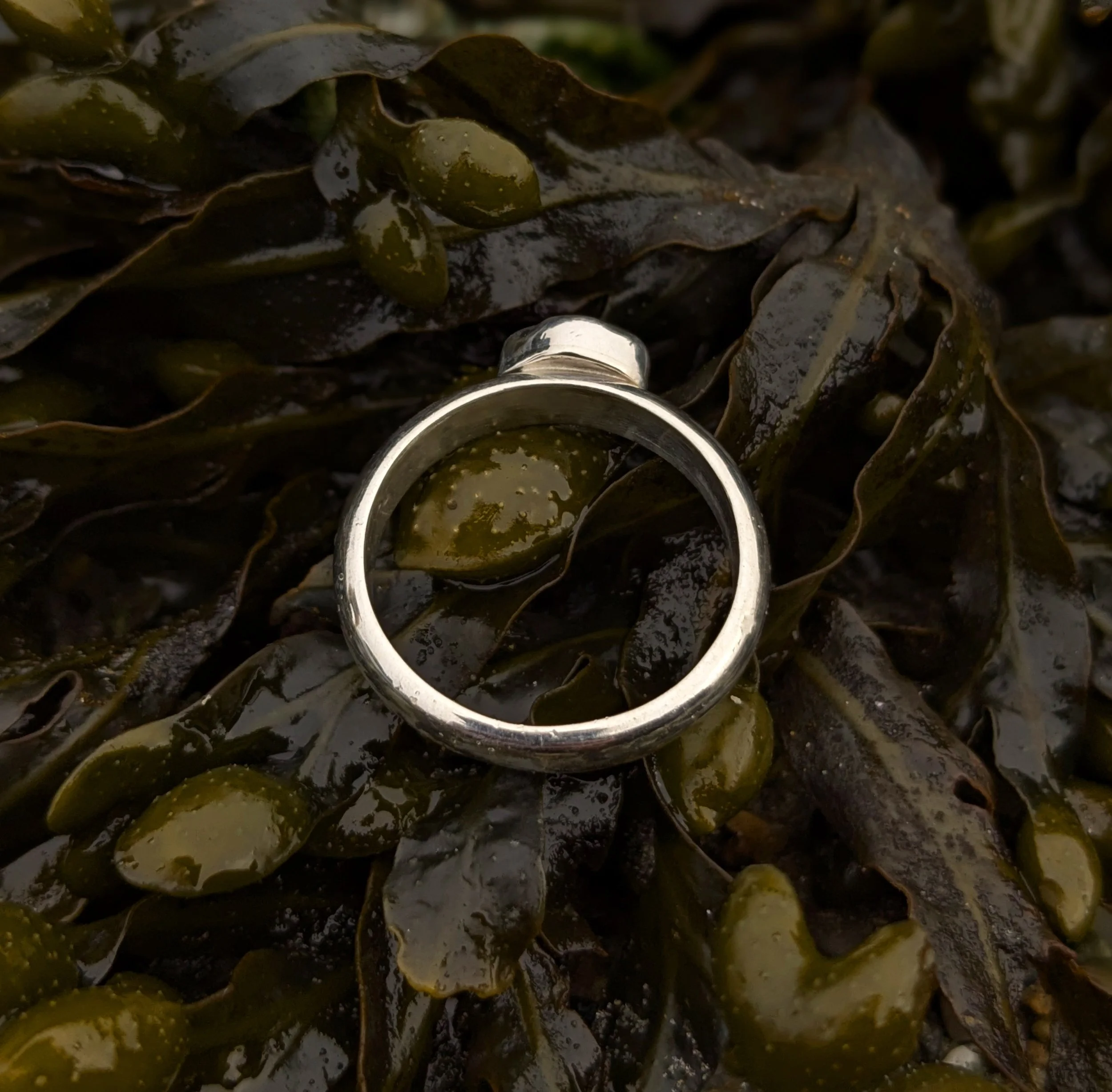 pxl_20260419_185338406.portrait copy.jpg