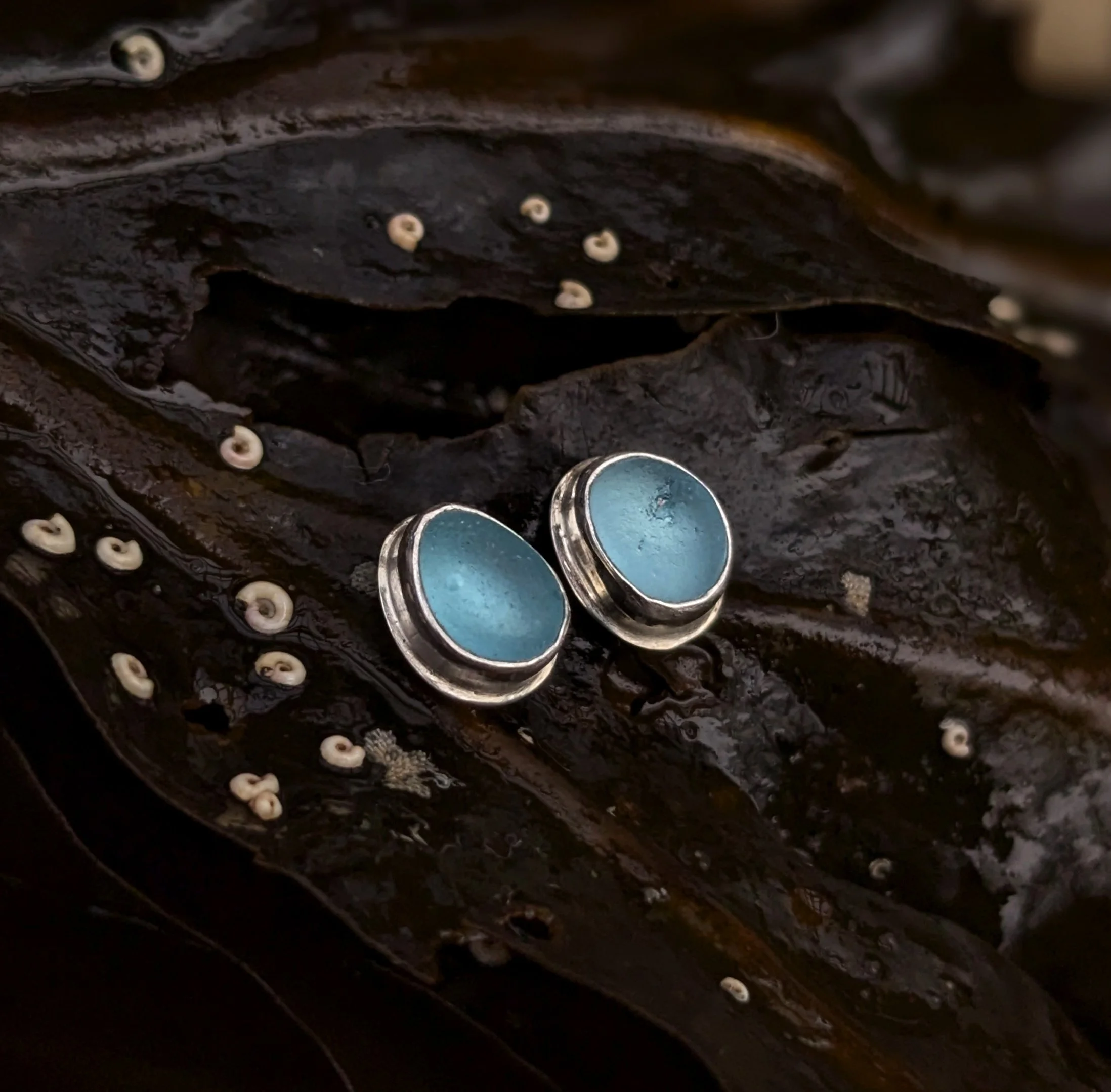 PXL_20260121_194409454.PORTRAIT copy.jpg