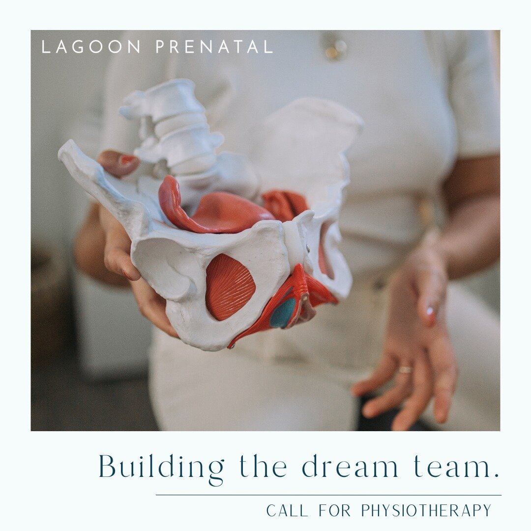 Are you a physiotherapist who is passionate about providing care to people moving through their reproductive healthcare journey? Let's talk!

Lagoon Prenatal has a need to expand their physiotherapy team and has a growing waitlist for folks in need i