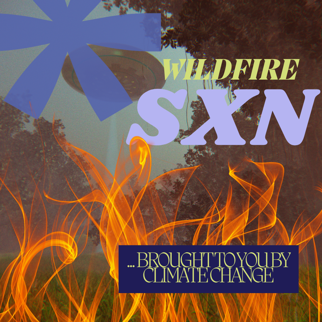 Smoke Signals: What Canada’s Wildfires Are Really Telling us