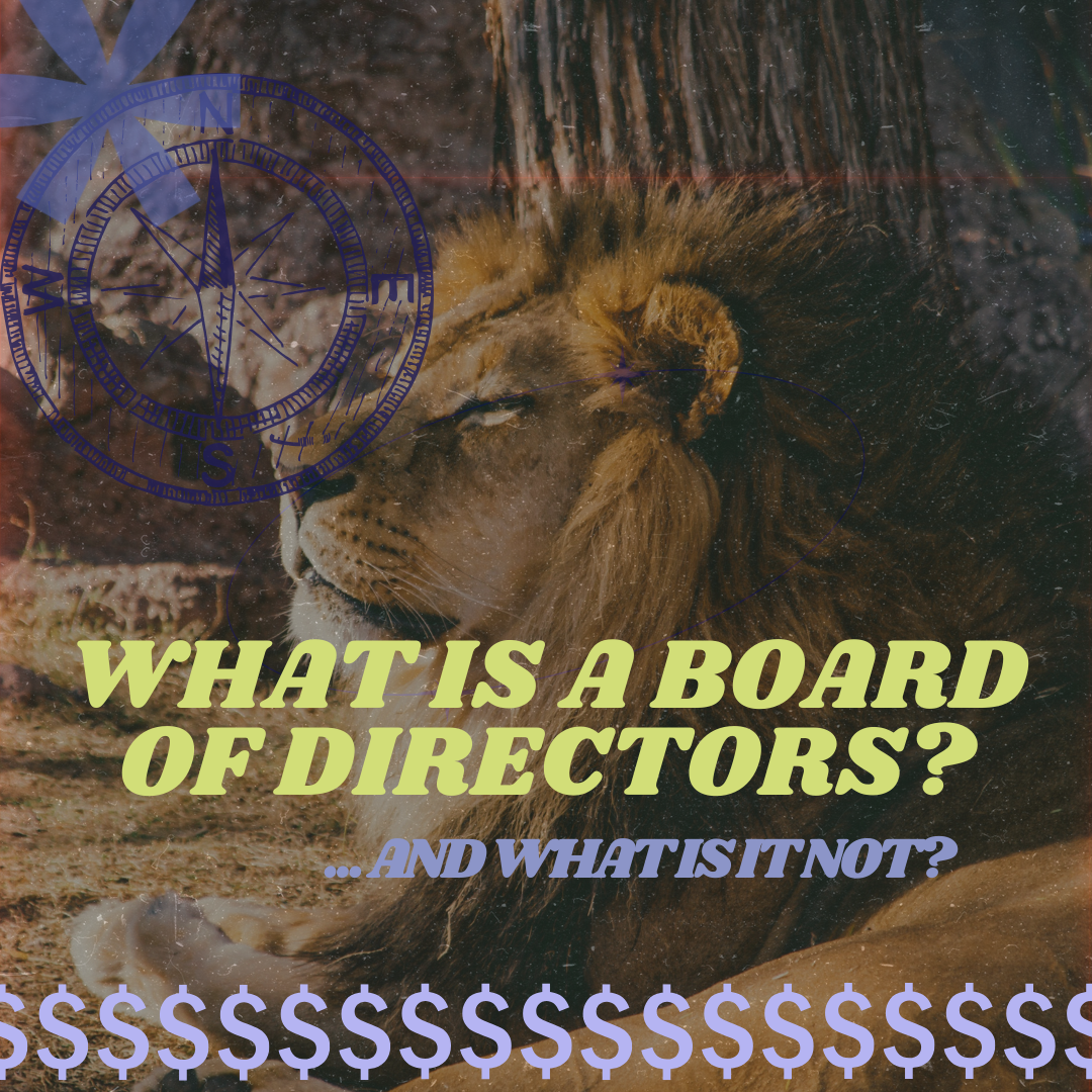 What Is a Board of Directors - And What Is It Not? A Practical Guide for Canadian Non-Profits and Charities