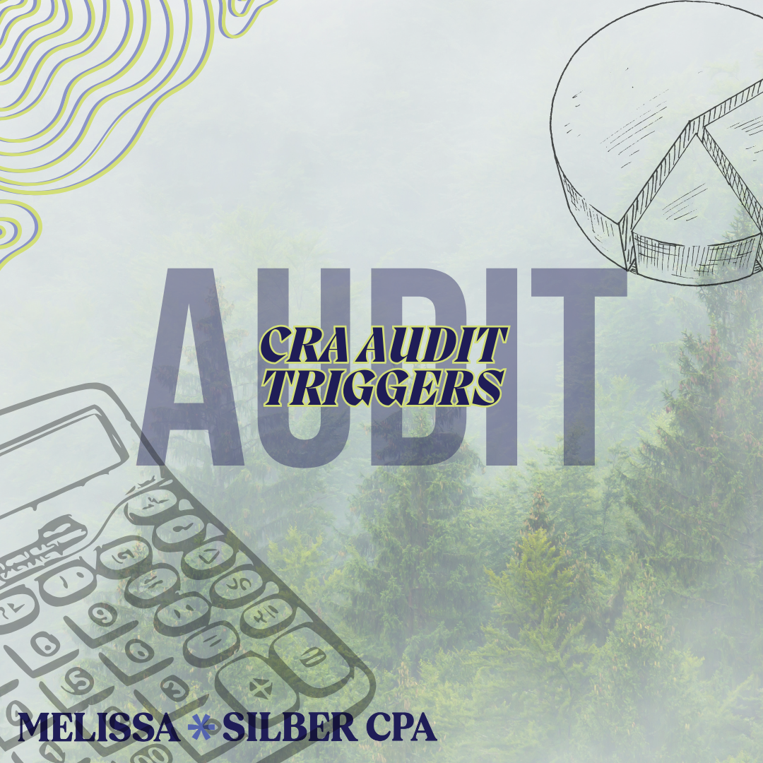 CRA Audits Explained: What the CRA Is Actually Looking For (And Why You Probably Have Nothing to Worry About)