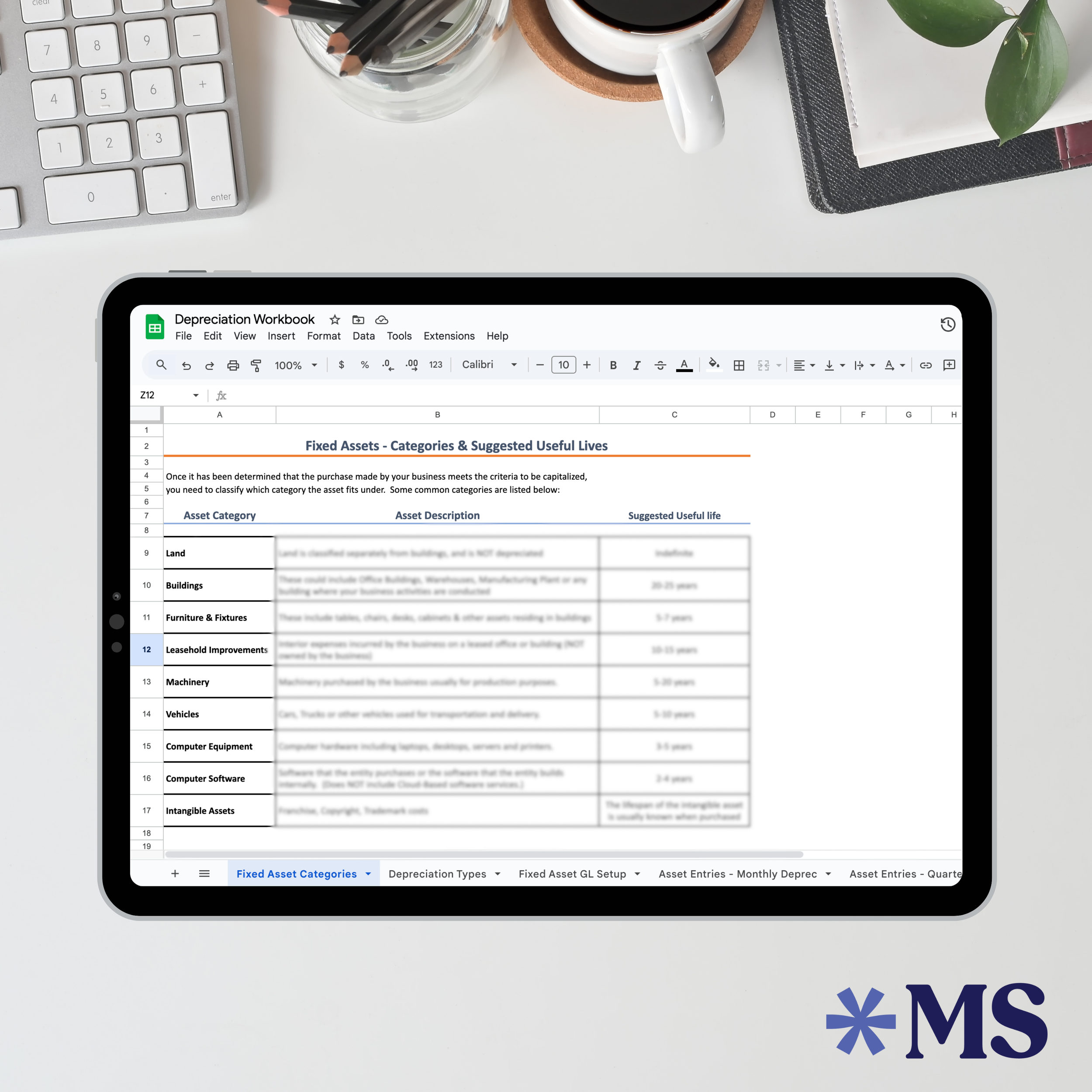 Mockup - Depreciation Workbook.png
