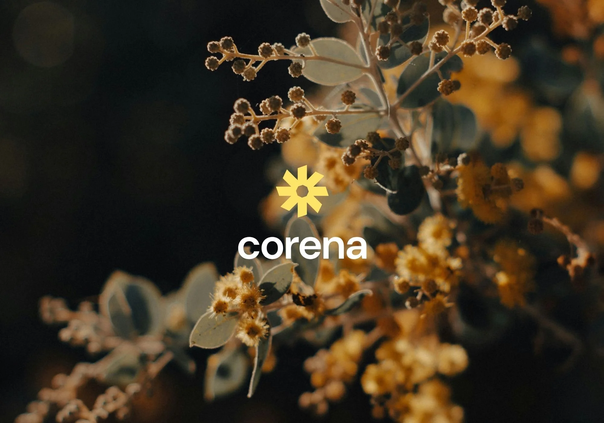 Corena