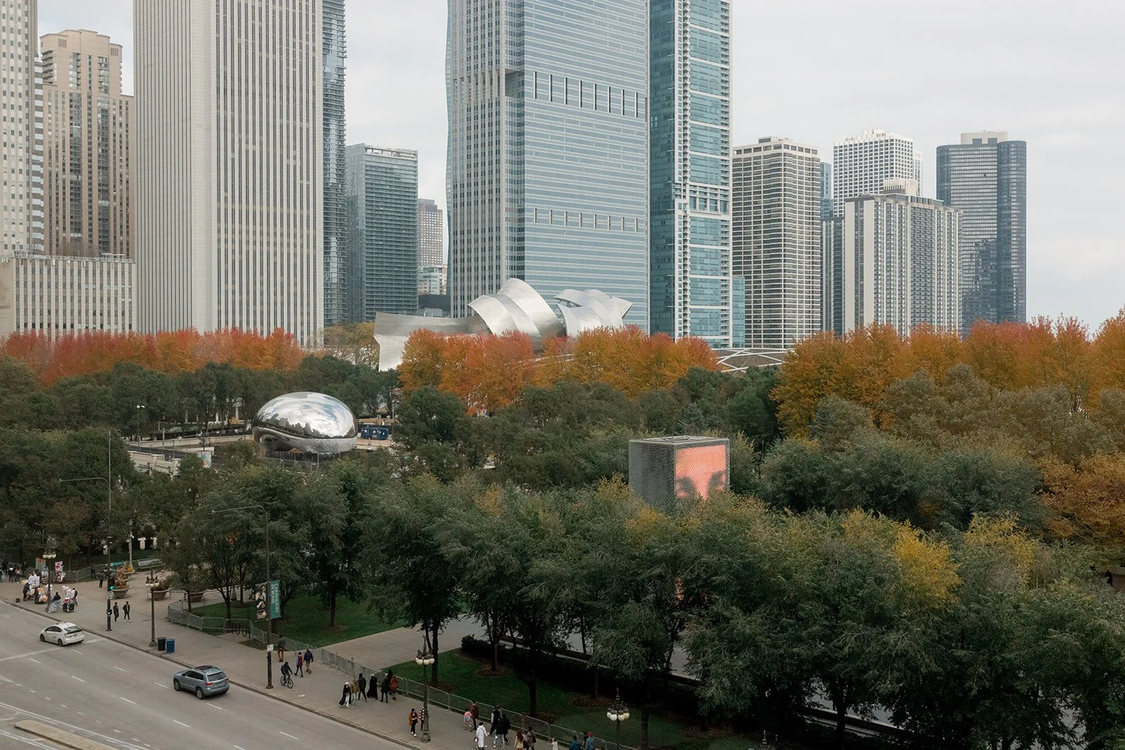 An elevated view of Chicago's Grant Park in peak autumn — the Bean glinting among orange-tipped trees and glass towers, the city in full fall color.