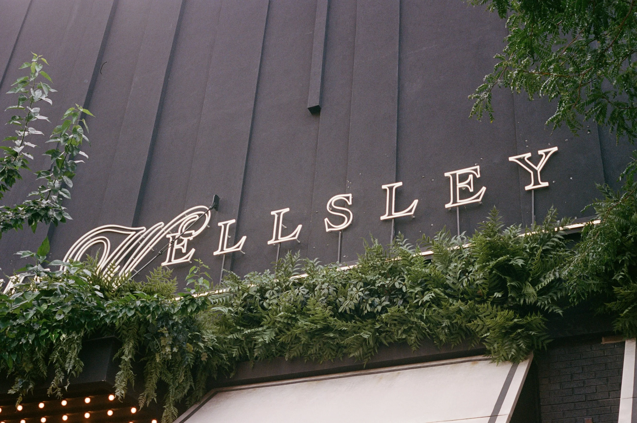 The Wellsley's illuminated signage framed by greenery on the venue's exterior