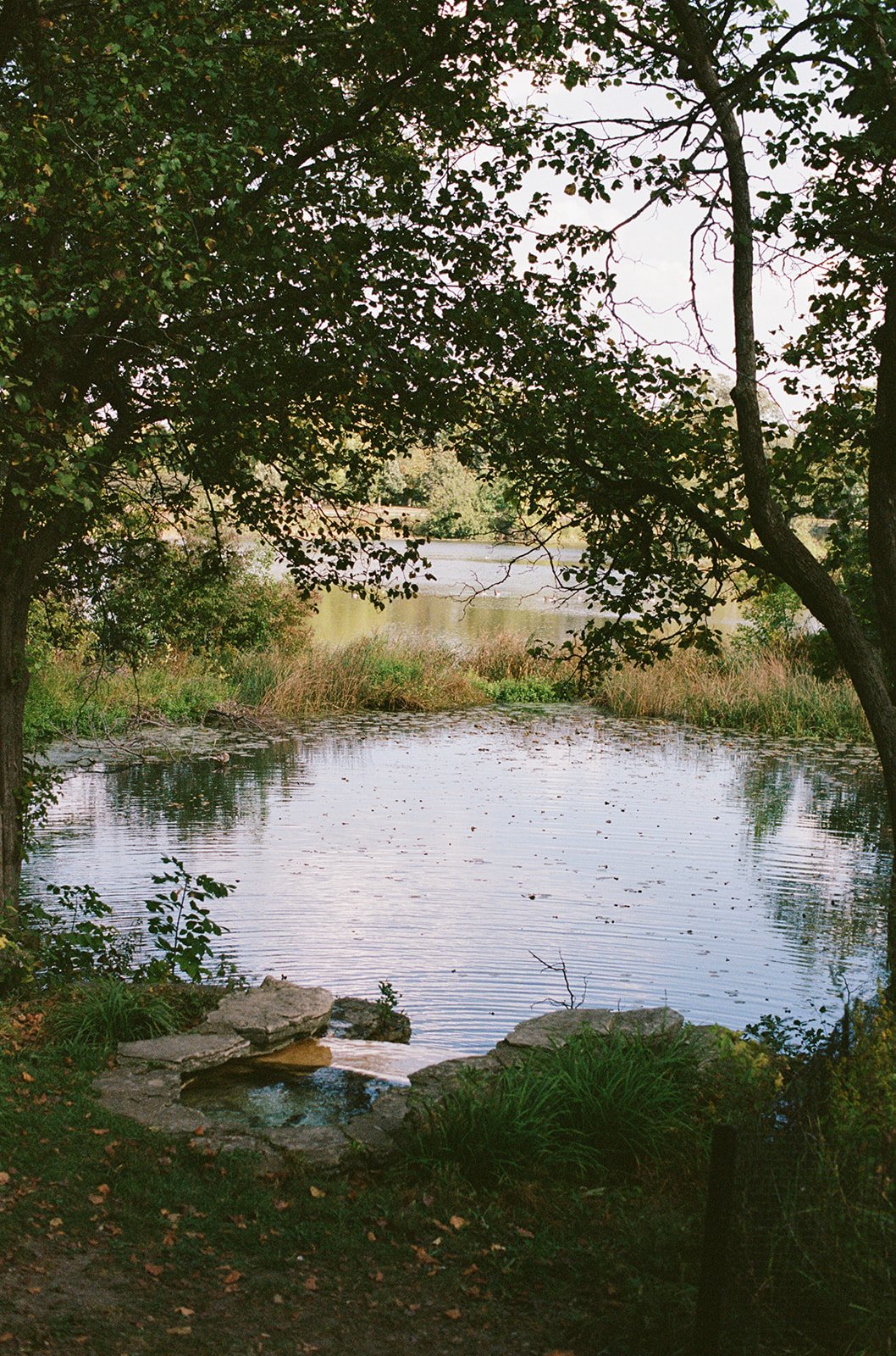 Still water, stone steps, and the last light of autumn — a quiet nature detail of the Columbus Park lagoon that captures the poetry of this storied Chicago wedding venue. Chicago film wedding photographer.