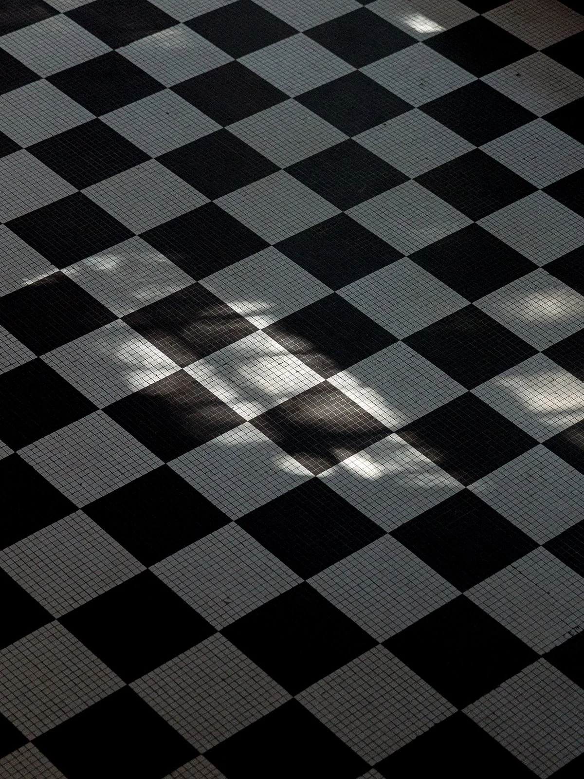 chicago-wedding-photographer-columbus-park-refectory-checkerboard-floor-15.jpg