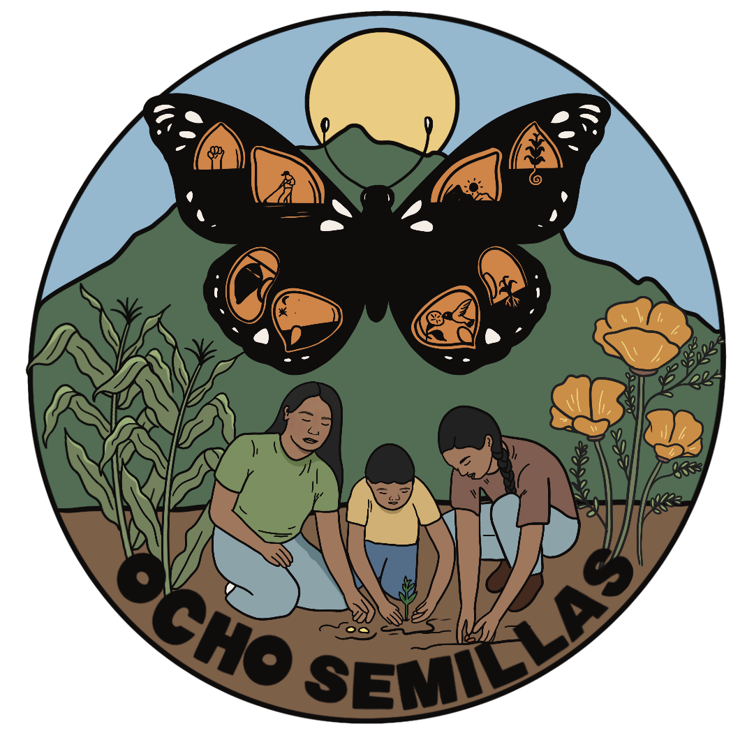 Ocho Semillas