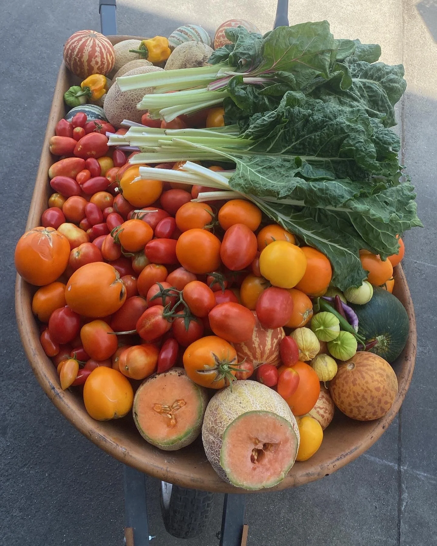 abolitionist agroecology