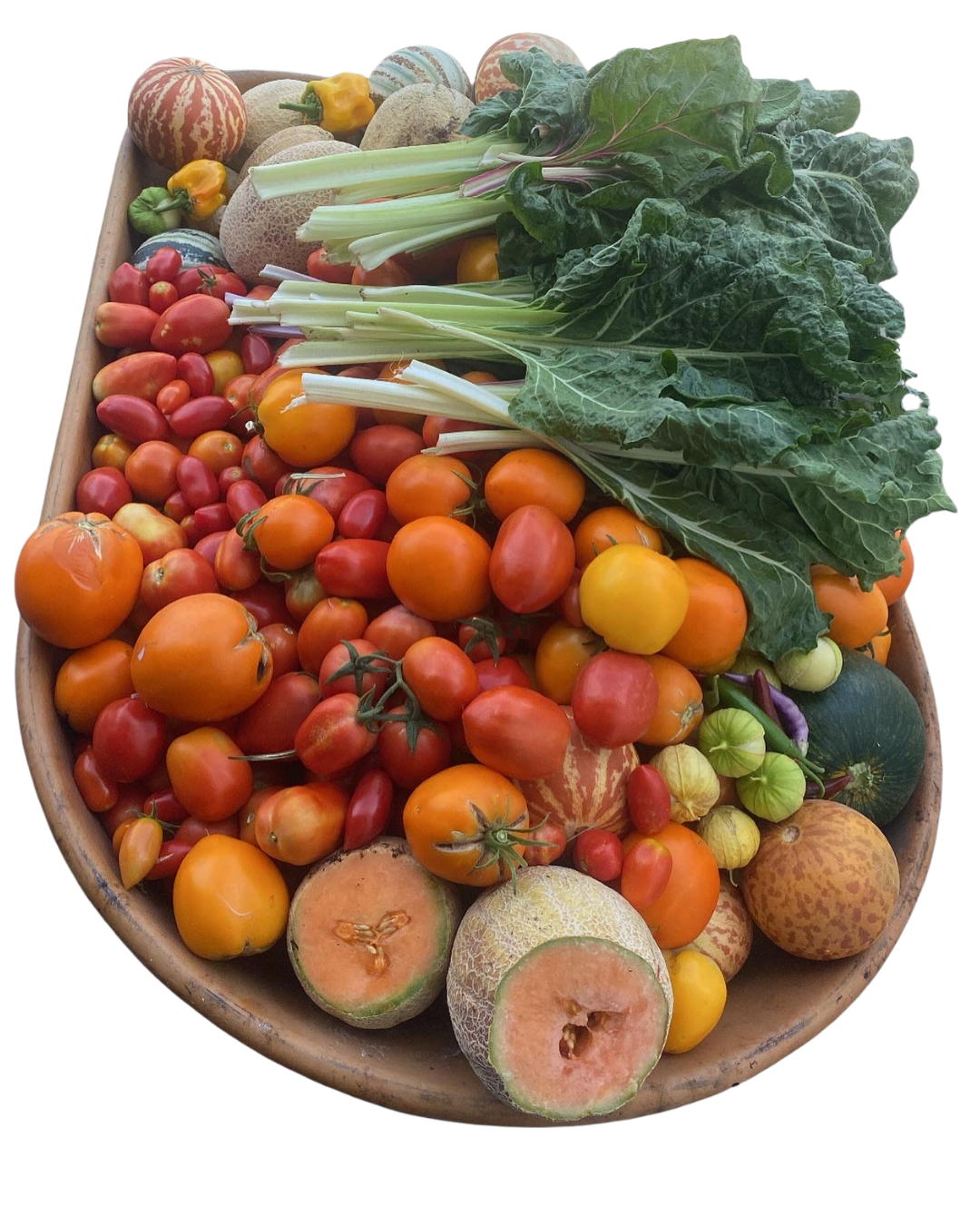 agroecology & food sovereignty