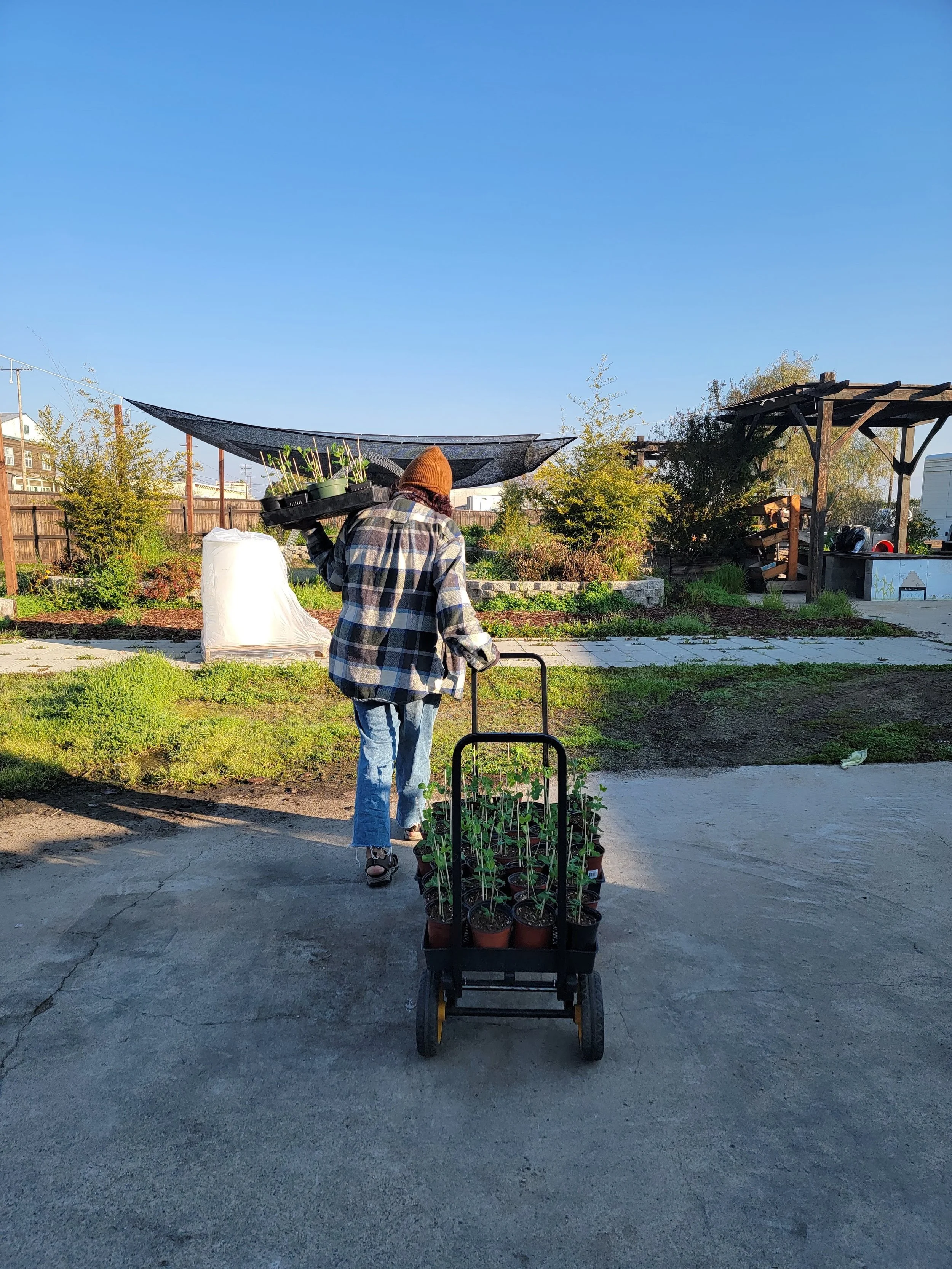 20230209_083329_Original (1).jpg