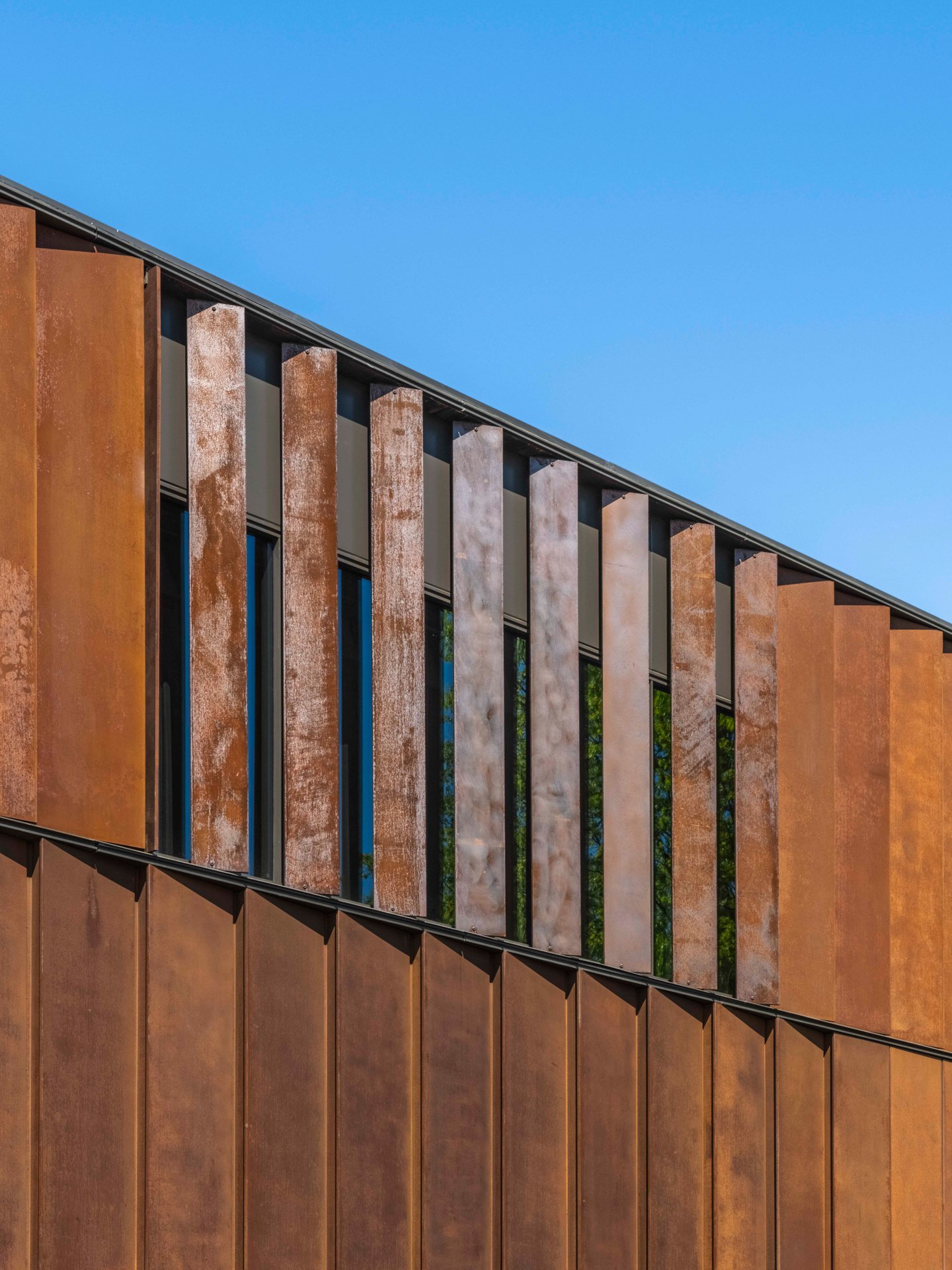 BSCAM_Alex Ferrec © COOKFOX Architects 014.jpg