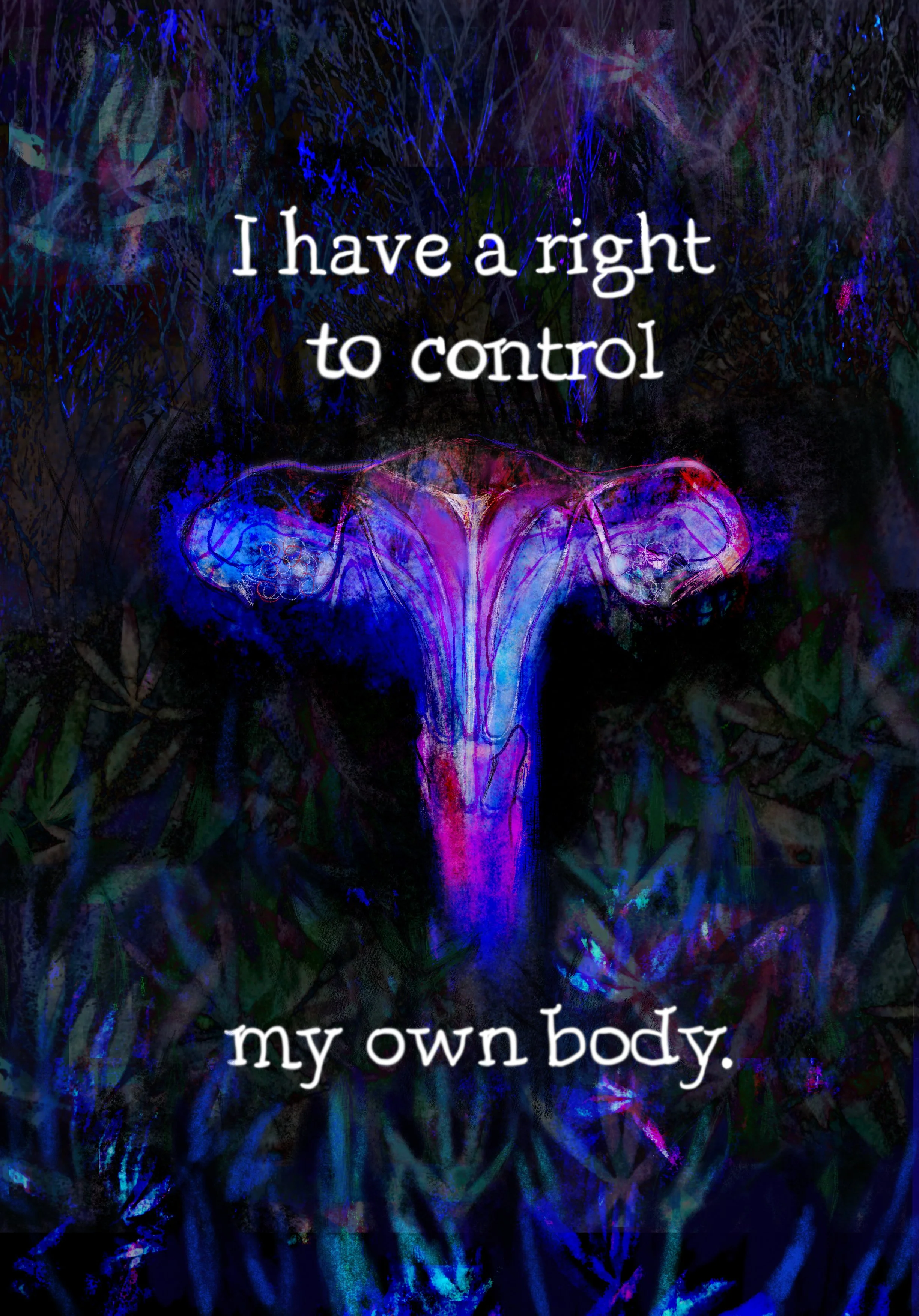 Illustration of womb and ovaries