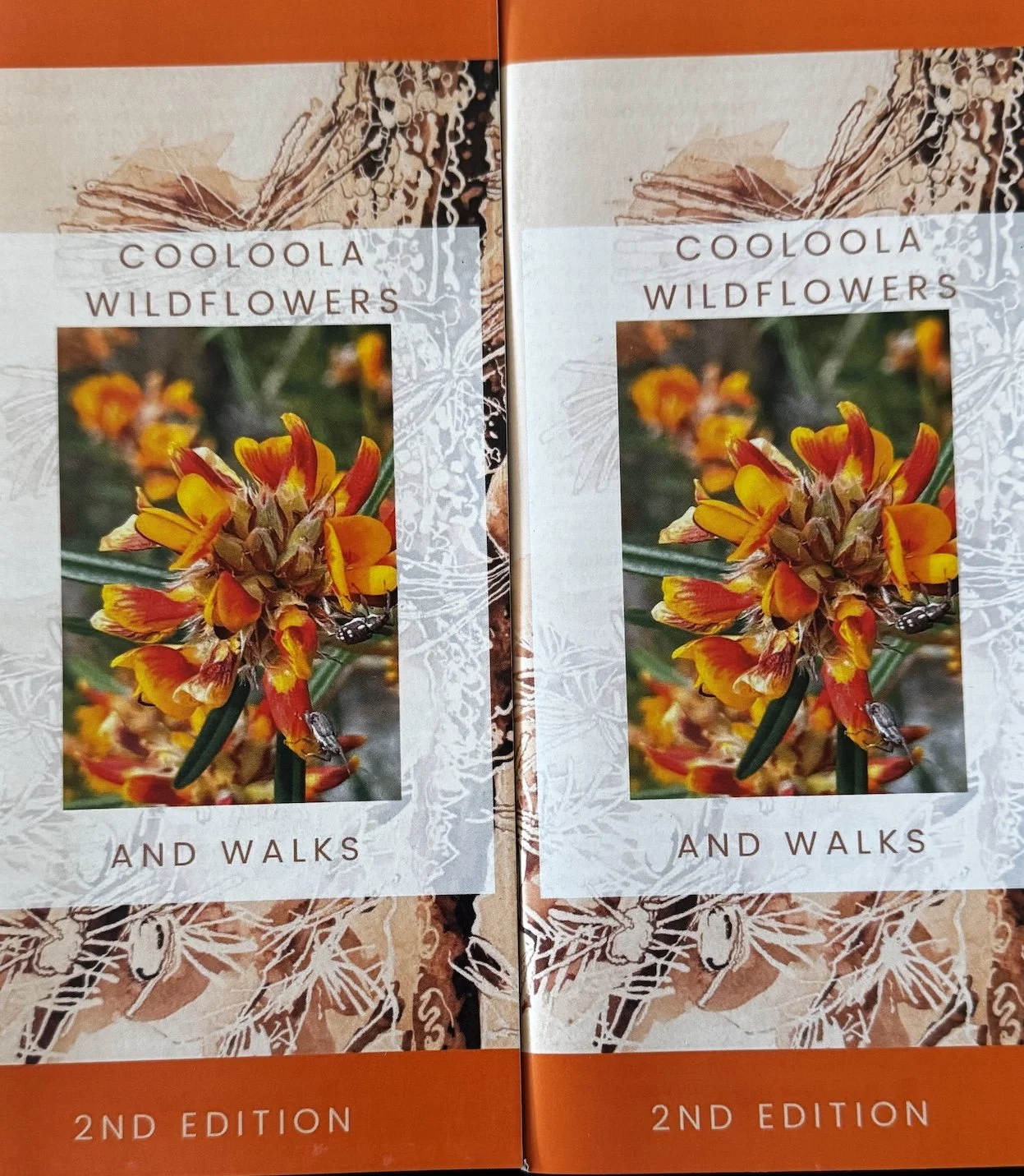 Cooloola Wildflowers and Walks booklet (2nd edition)