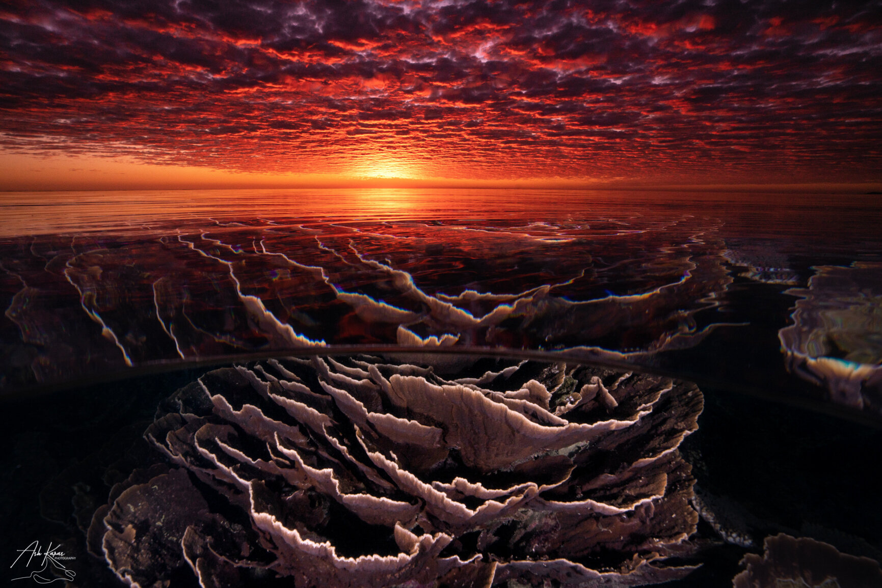 Sunset 1.jpg