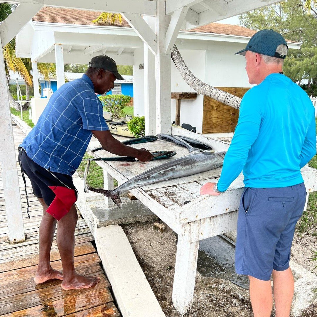Catch of the Day! Get your fresh fish for dinner from Eleuthera's pristine waters. 

 #bucketlist #familyactivities #catchoftheday #wahoo #Mahi #tunafishing #boatcharter #charterboat #deepseafishing