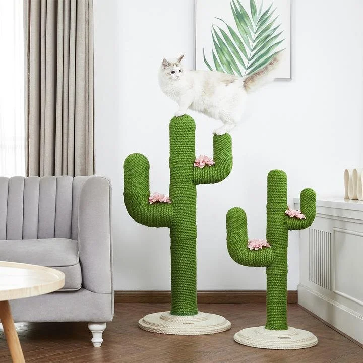 cat tree cactus