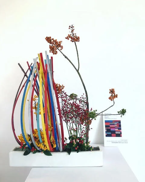 Works of Sensei Riji Chris Lim