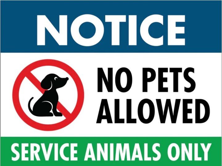 Please note that there are no pets allowed on Sunday