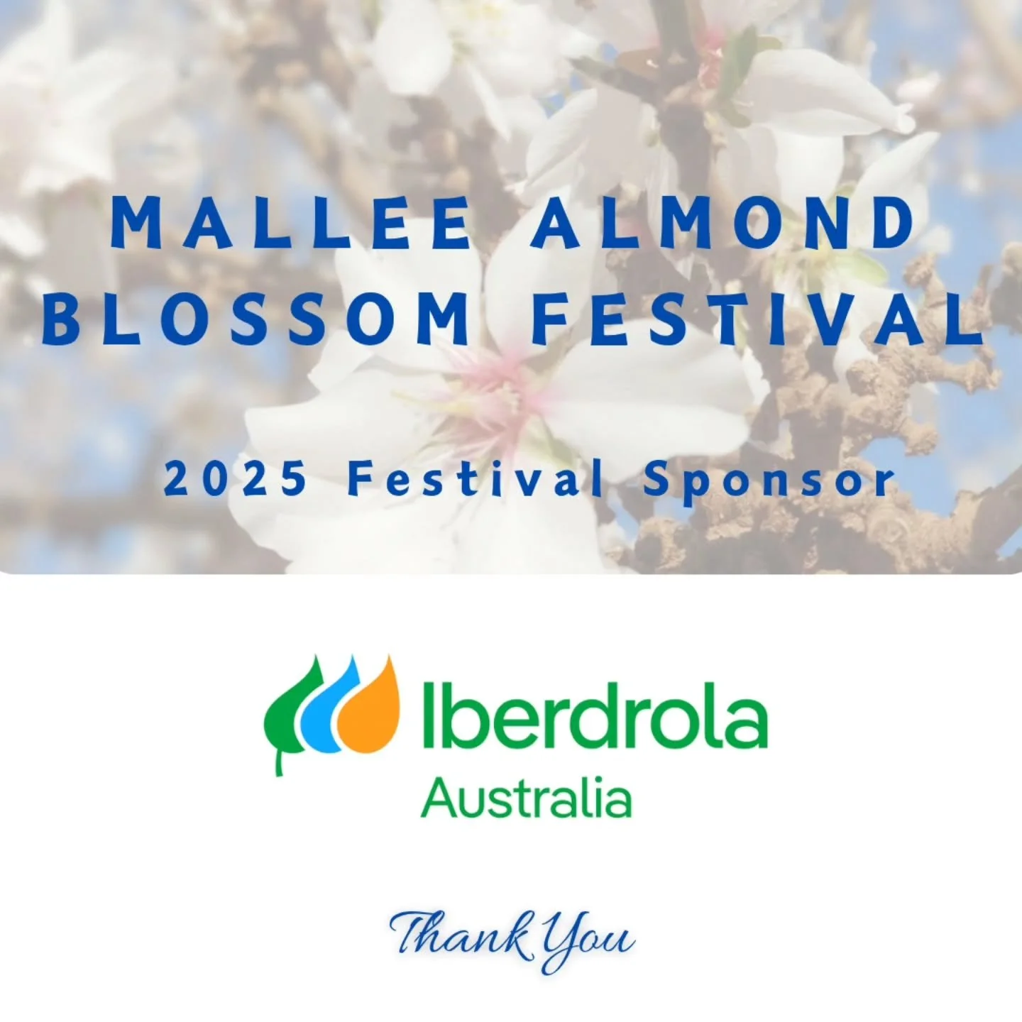As we get closer to our 2025 Mallee Almond Blossom Festival, we would like to share with you our fabulous sponsors ... thank you Iberdrola Australia with sponsorship in 2025.... thank you.