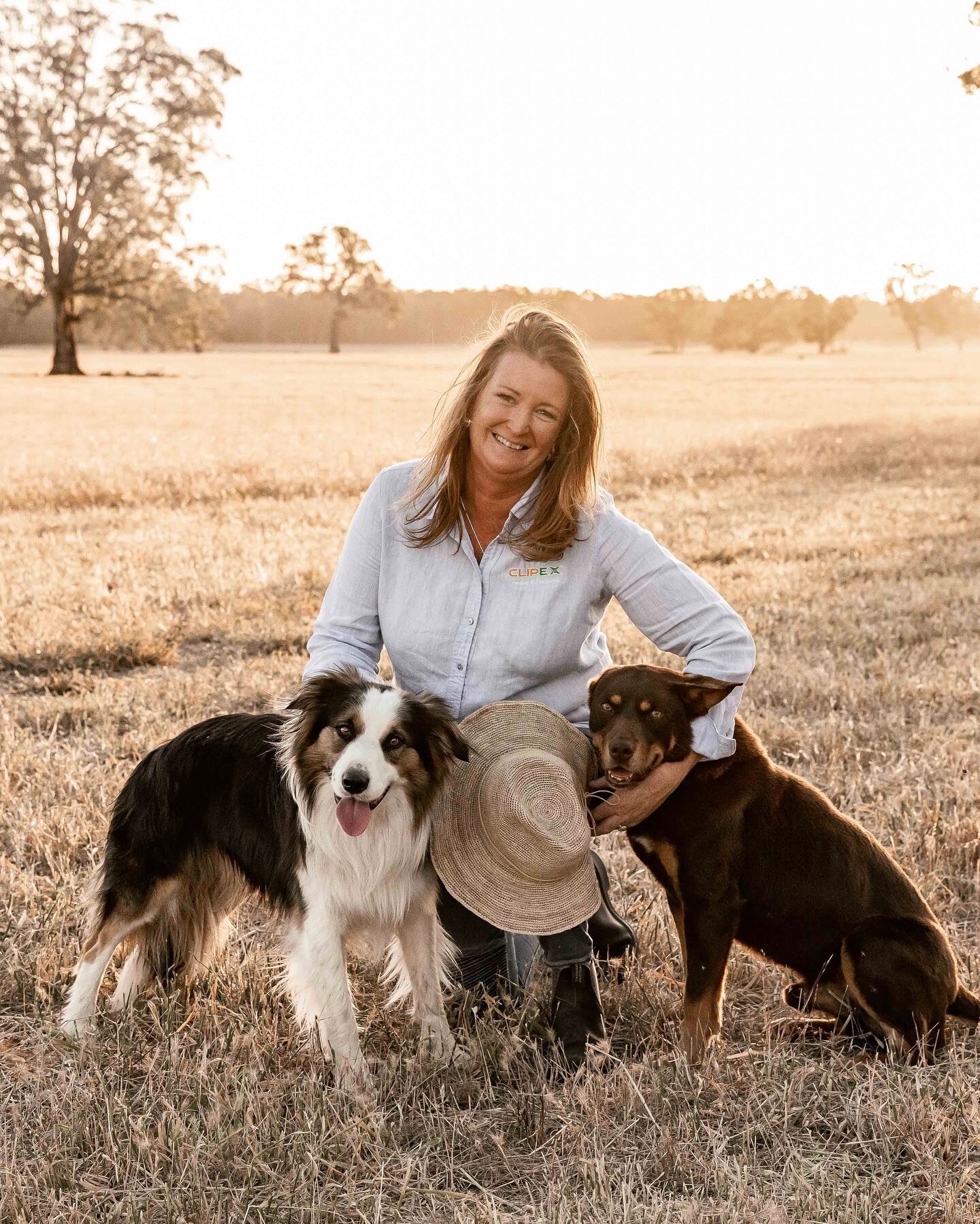 So behind on sharing photoshoot posts, but here&rsquo;s a few of my favorites from the most beautiful evening at the foot of the Grampians for @clipexaustralia&rsquo;s new Women in Ag campaign. 

Couldn&rsquo;t have a better lineup of rural women to 