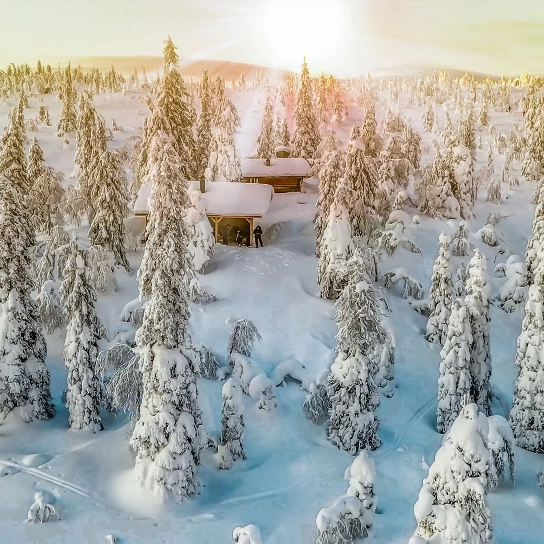 Snow-covered Finnish forest surrounding a secluded cabin, bathed in soft winter light, conveying stillness and quiet retreat