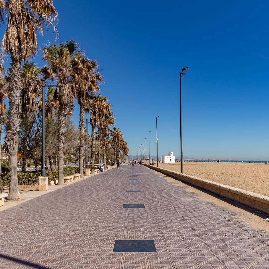 Palm-lined promenade in Valencia stretching alongside a sandy beach, with calm turquoise sea to the right, patterned walkway in the foreground, a few distant walkers, and clear blue sky creating a relaxed coastal-city atmosphere.