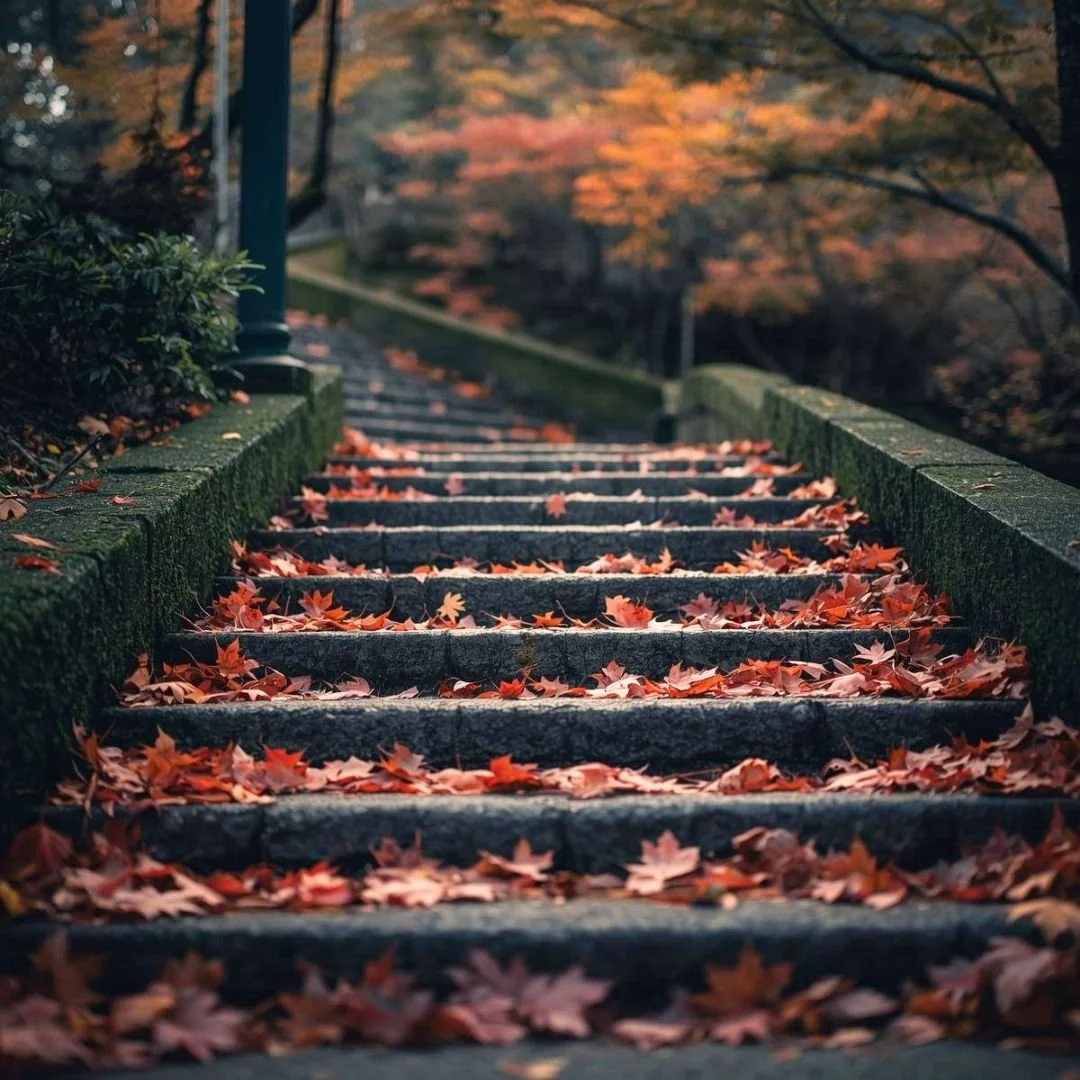 Stone steps covered with autumn leaves in a quiet forest pathway with soft natural light