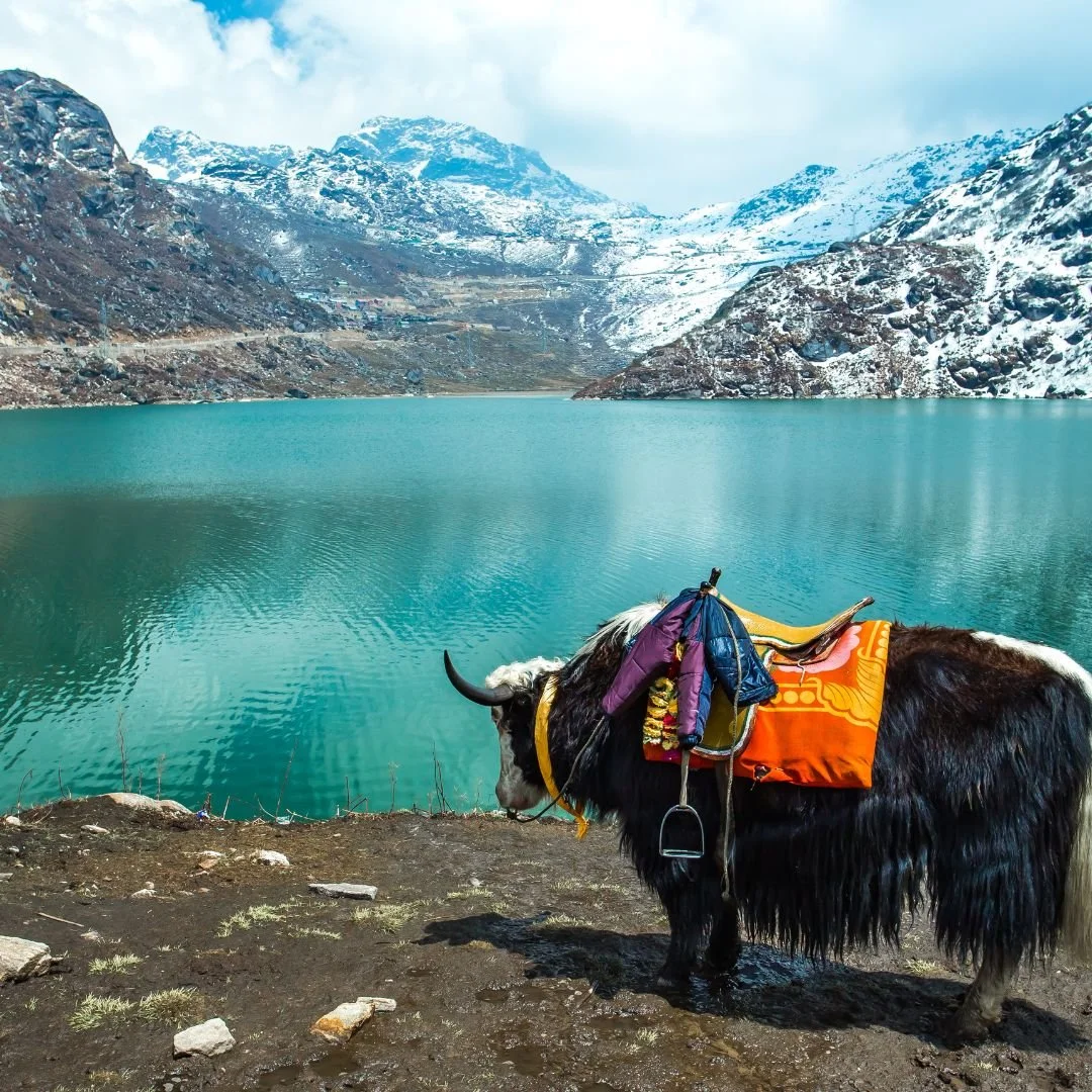 SIKKIM.jpg