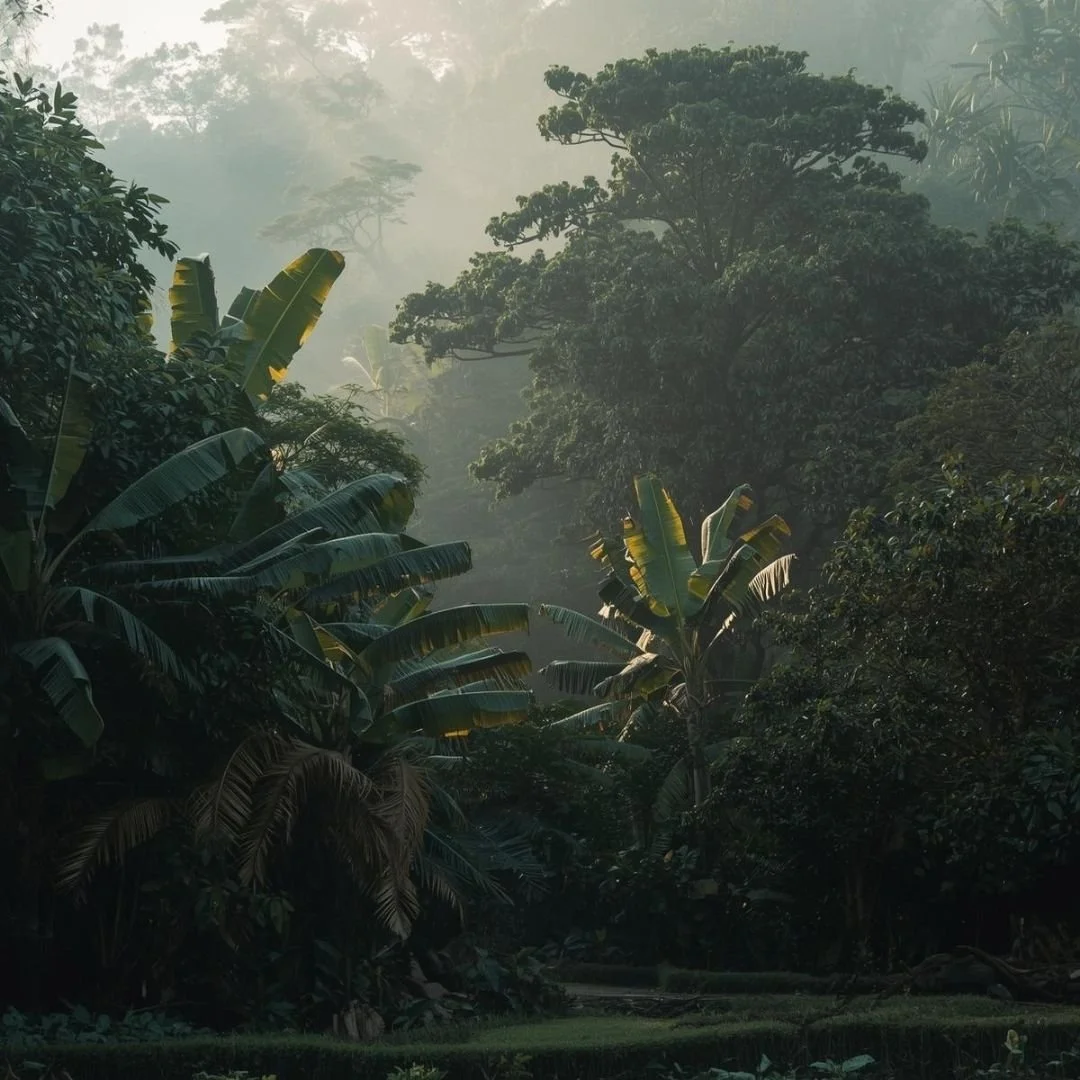 Soft morning light filtering through dense tropical jungle foliage in Bali with misty layered greenery and a calm, quiet atmosphere