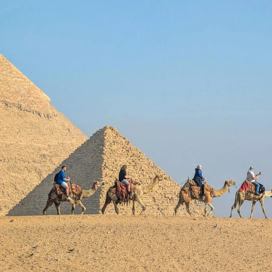 Camel caravan moving across the desert with the pyramids of Giza in the background.