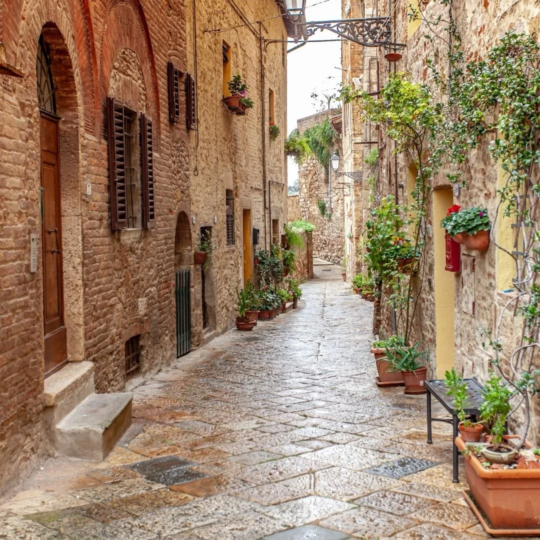 Narrow cobblestone street in a historic Italian town, lined with stone buildings, wooden shutters, and potted plants.