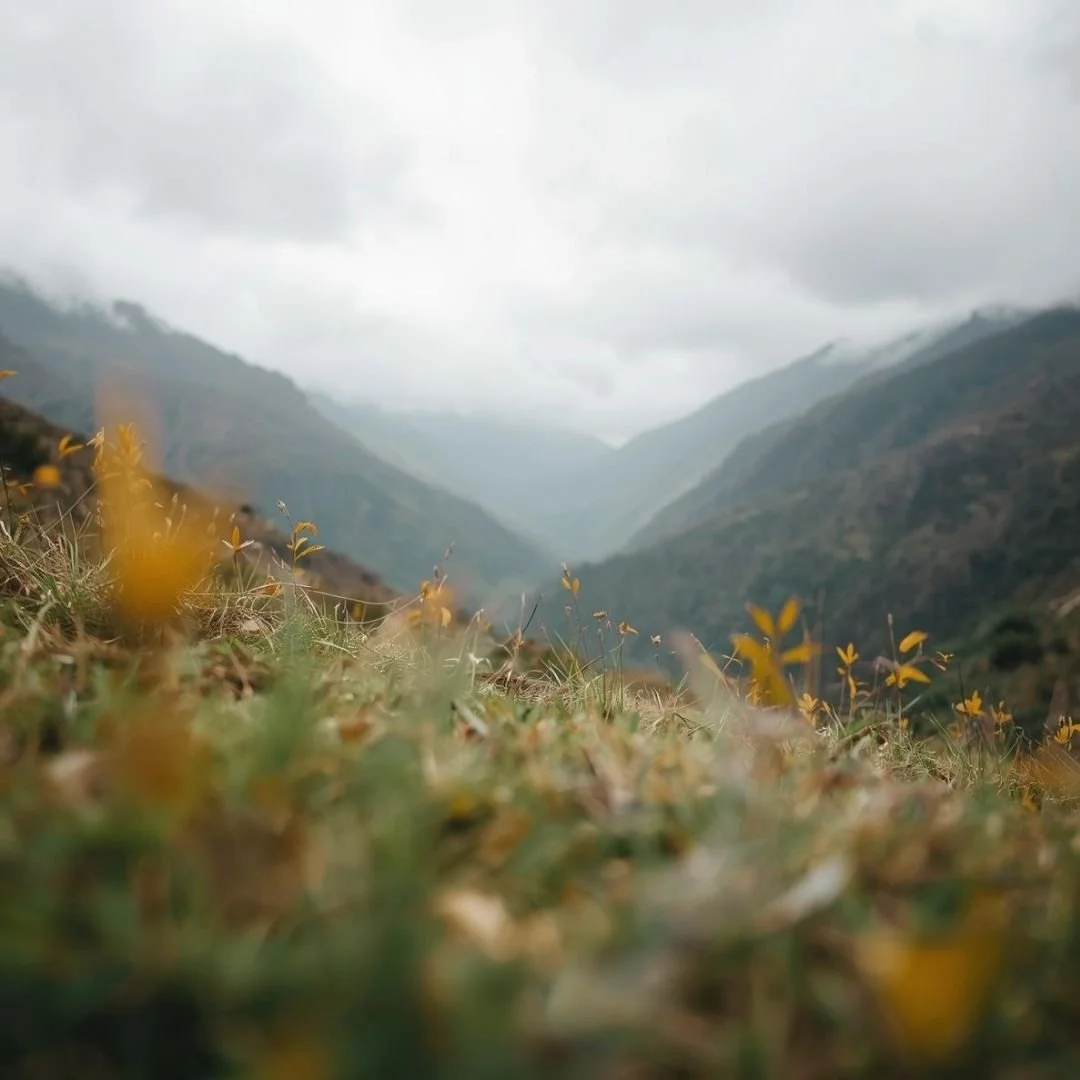Misty Bhutan valley viewed from ground level, with soft grass in the foreground and layered mountain slopes fading into clouds