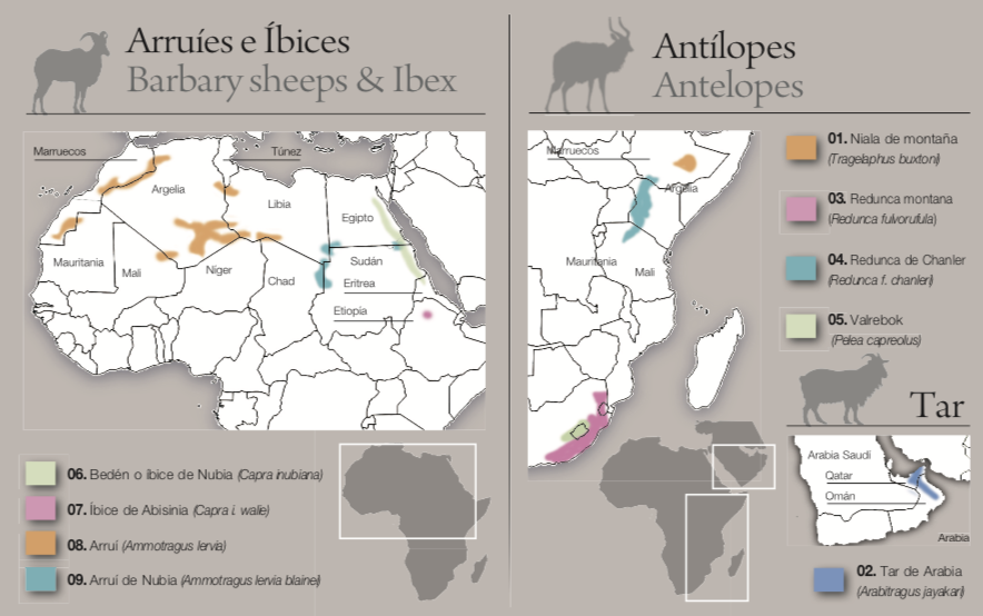 Screen Shot 2021-09-21 at 12.19.53.png