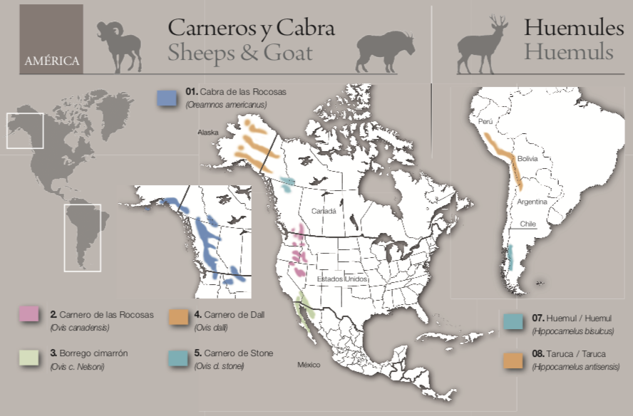 Screen Shot 2021-09-21 at 12.20.42.png