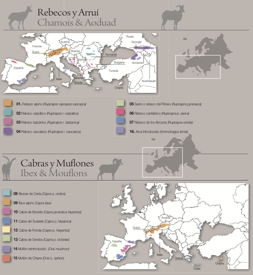 Screen Shot 2021-09-21 at 12.22.49.png