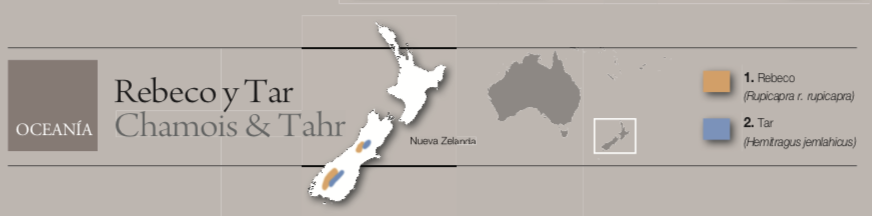 Screen Shot 2021-09-21 at 12.23.14.png