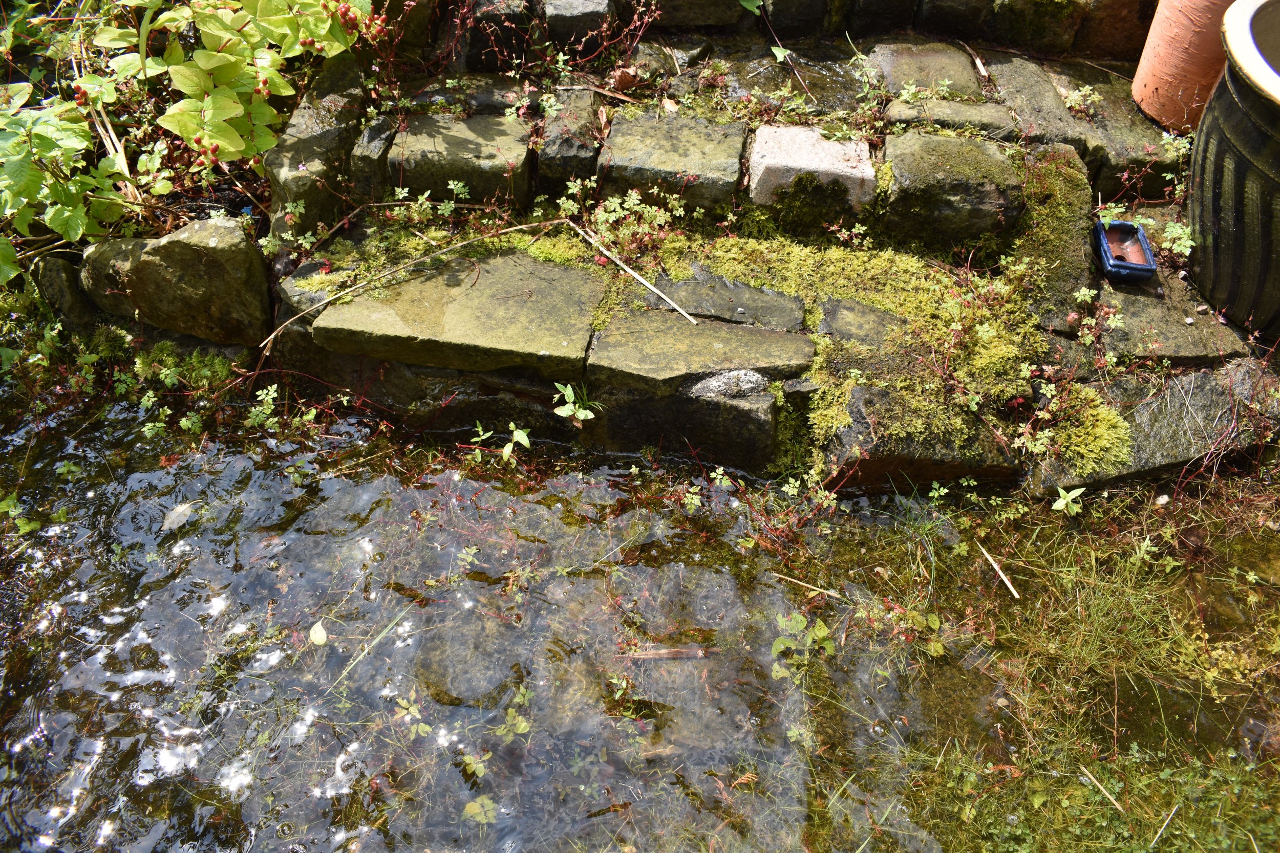 DSC_0165.JPG